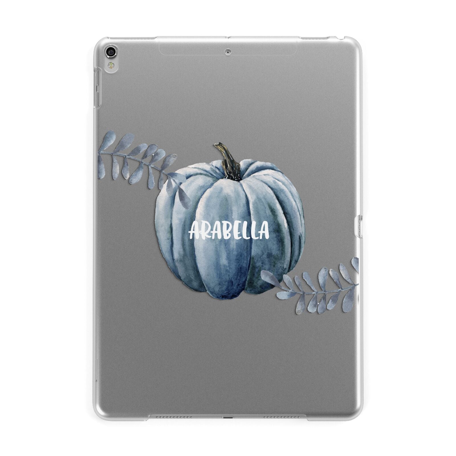 Grey Pumpkin Apple iPad Silver Case