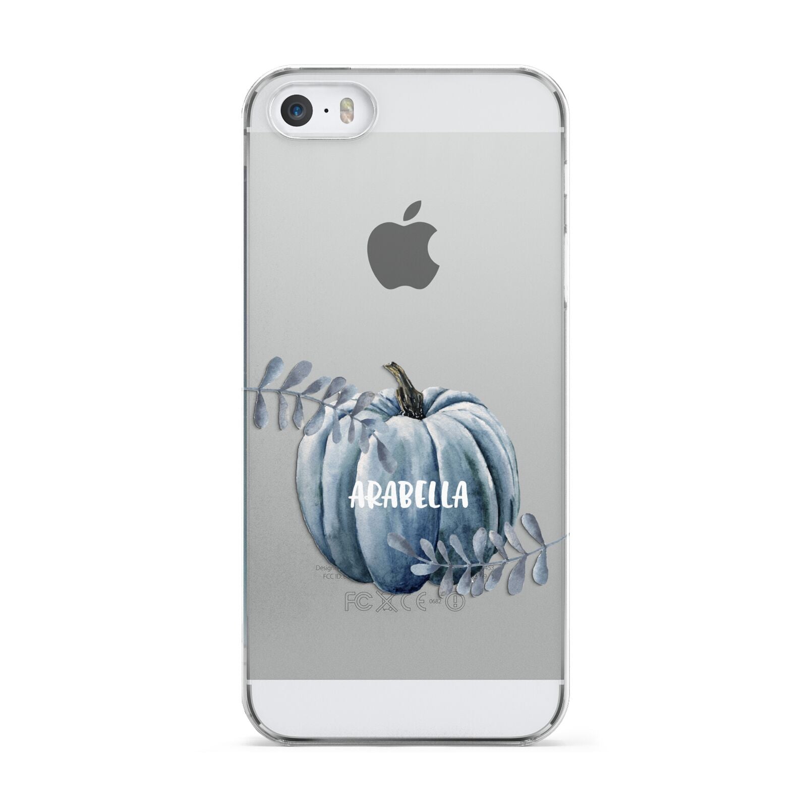 Grey Pumpkin Apple iPhone 5 Case