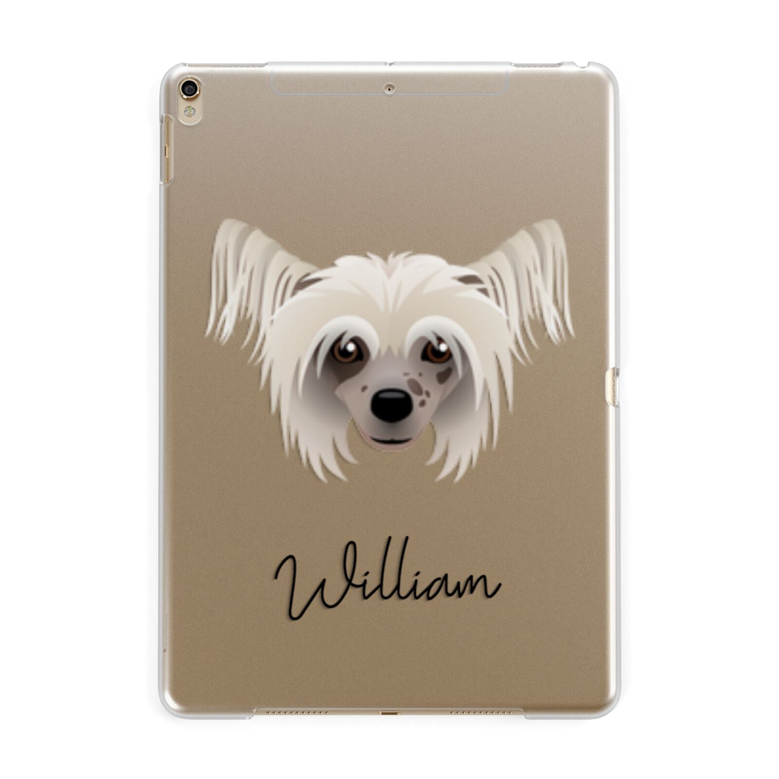 Hairless Chinese Crested Personalised Apple iPad Gold Case