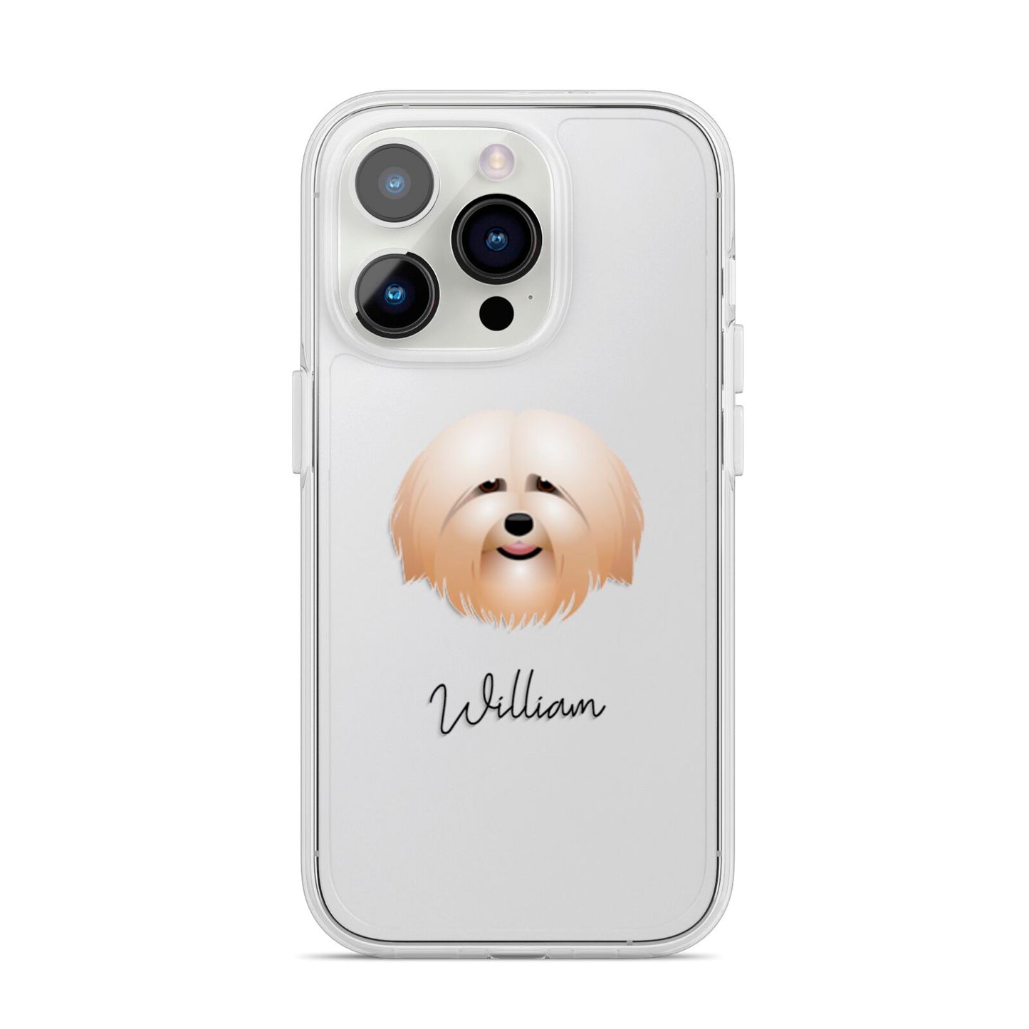 Havanese Personalised iPhone 14 Pro Clear Tough Case Silver