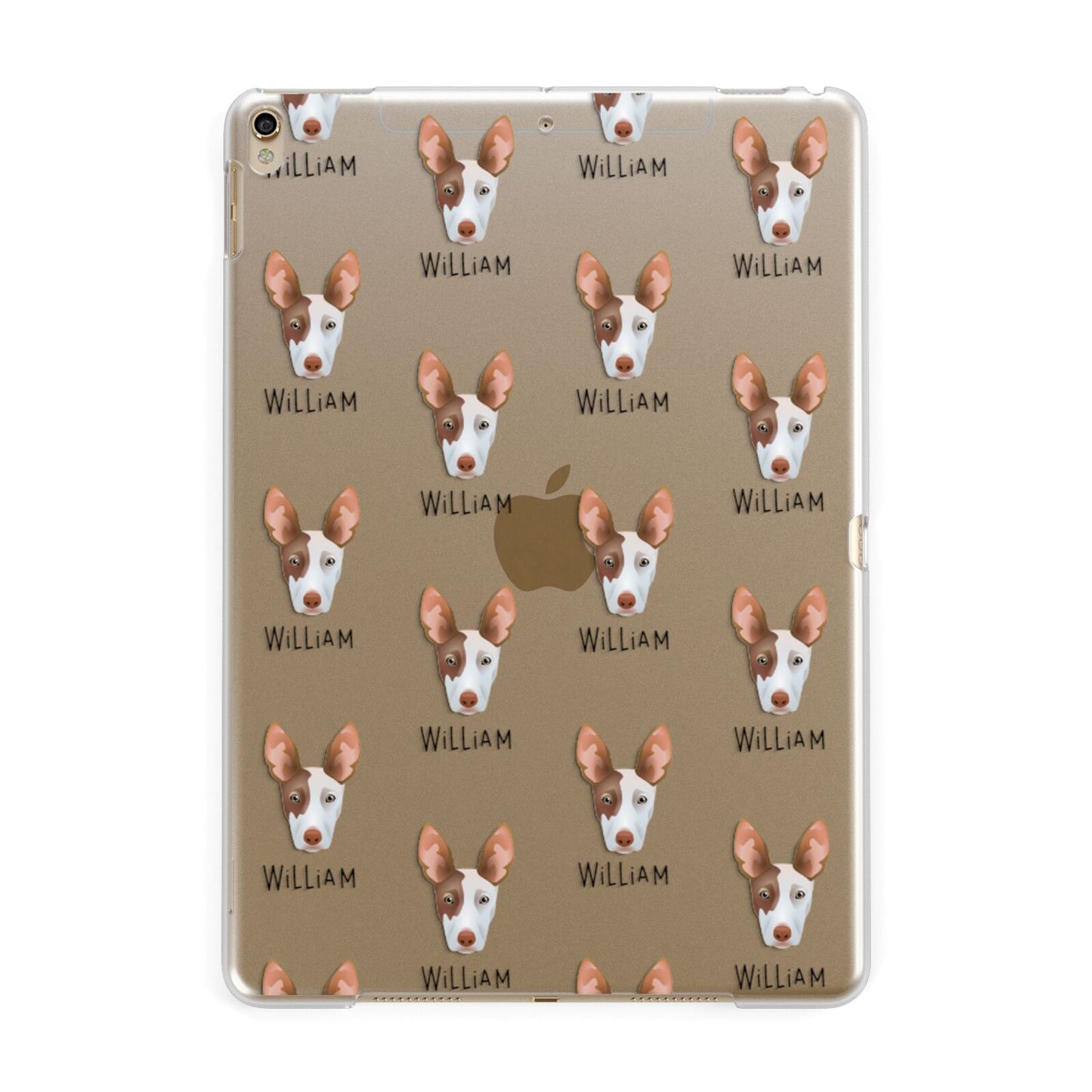 Ibizan Hound Icon with Name Apple iPad Gold Case