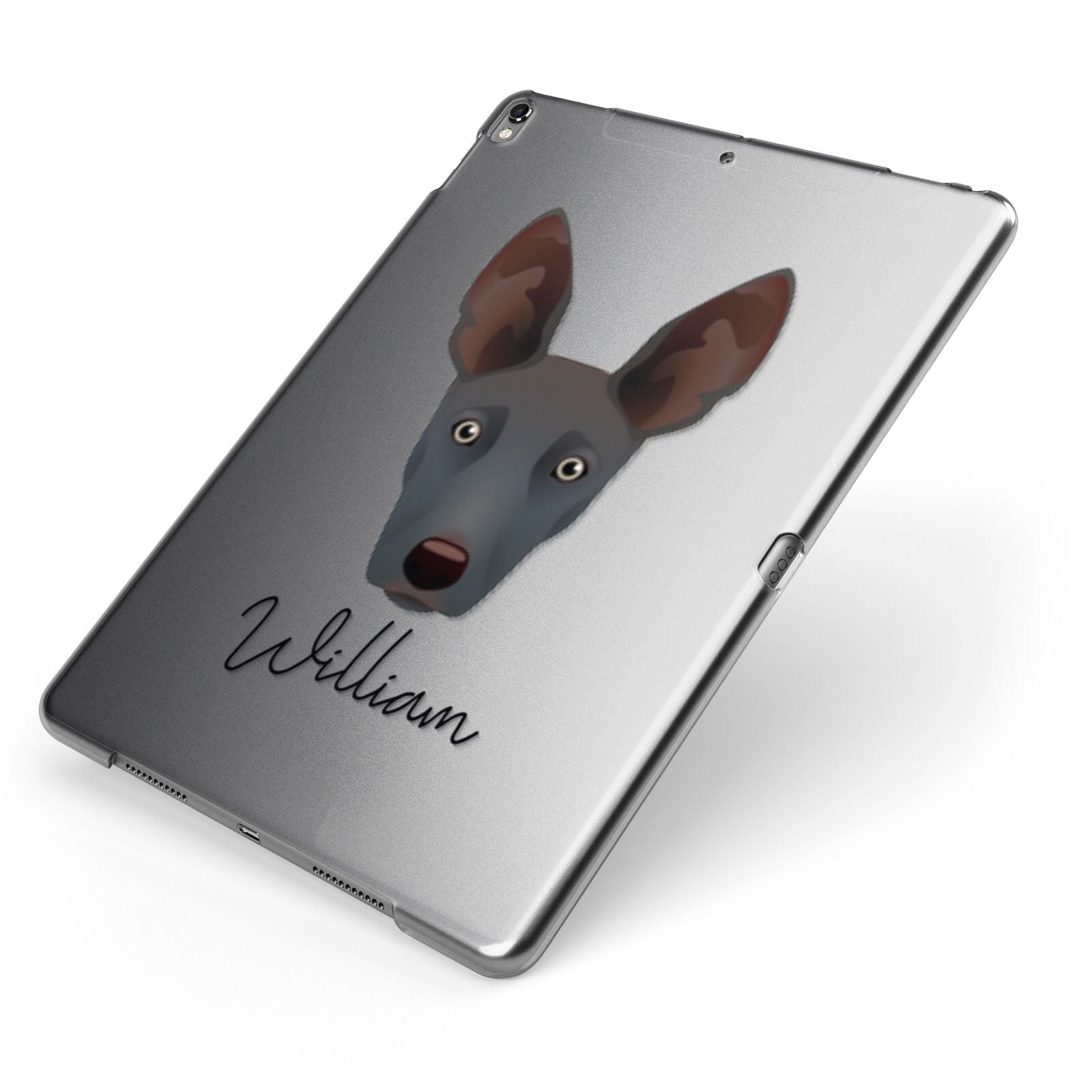 Ibizan Hound Personalised Apple iPad Case on Grey iPad Side View