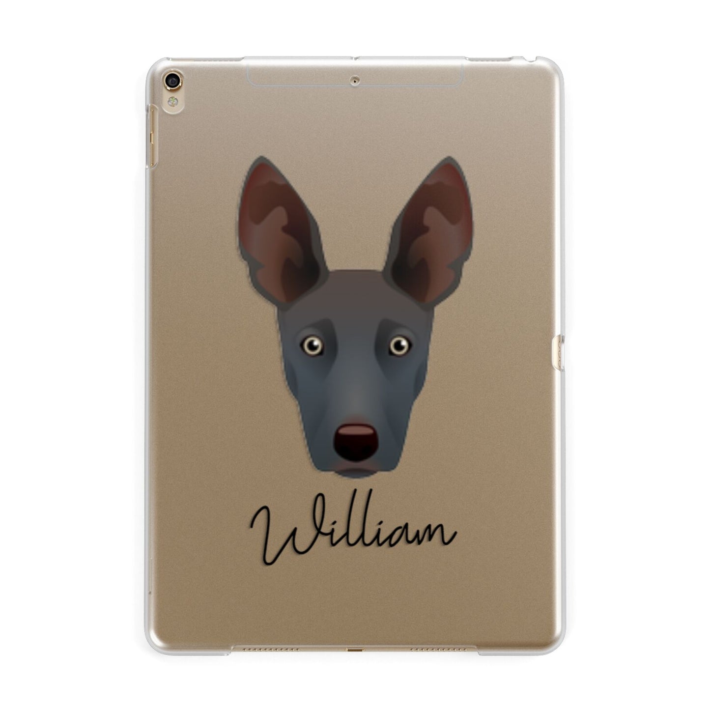 Ibizan Hound Personalised Apple iPad Gold Case