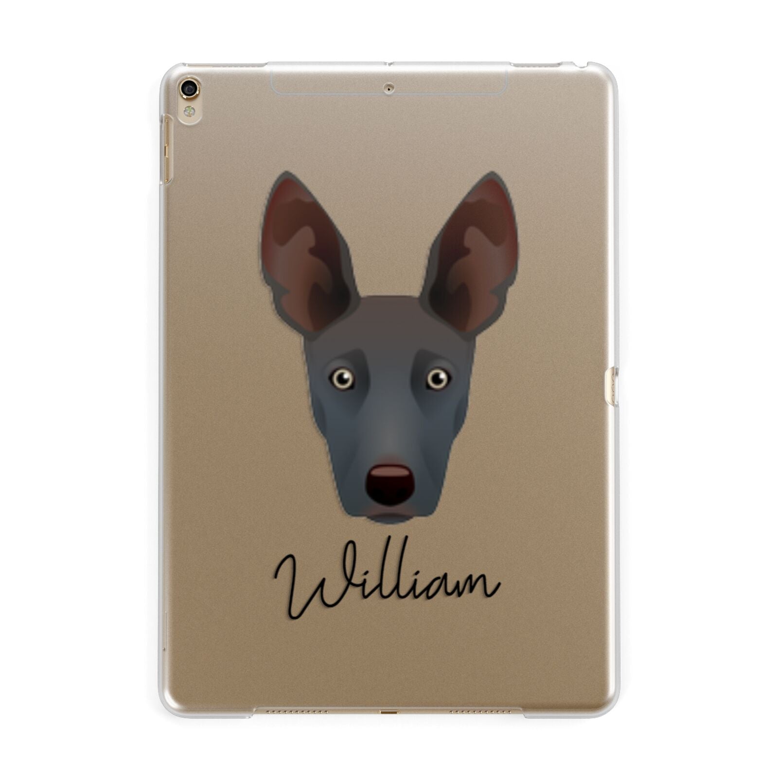 Ibizan Hound Personalised Apple iPad Gold Case