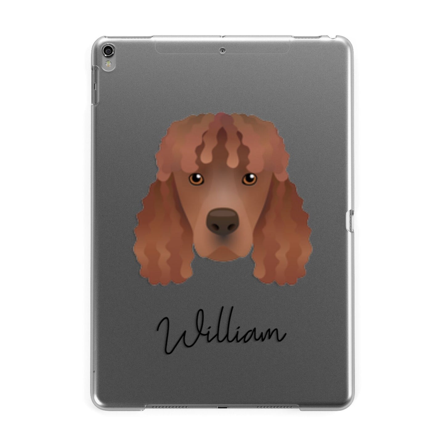 Irish Water Spaniel Personalised Apple iPad Grey Case
