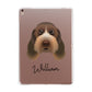 Italian Spinone Personalised Apple iPad Rose Gold Case