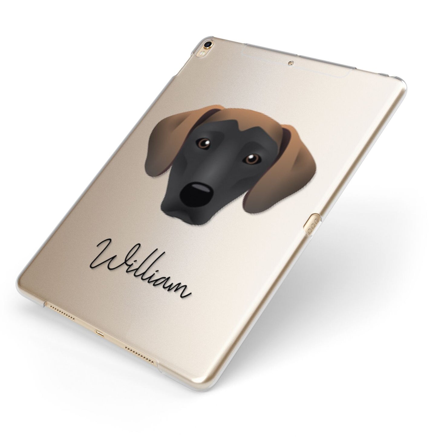 Jack A Bee Personalised Apple iPad Case on Gold iPad Side View
