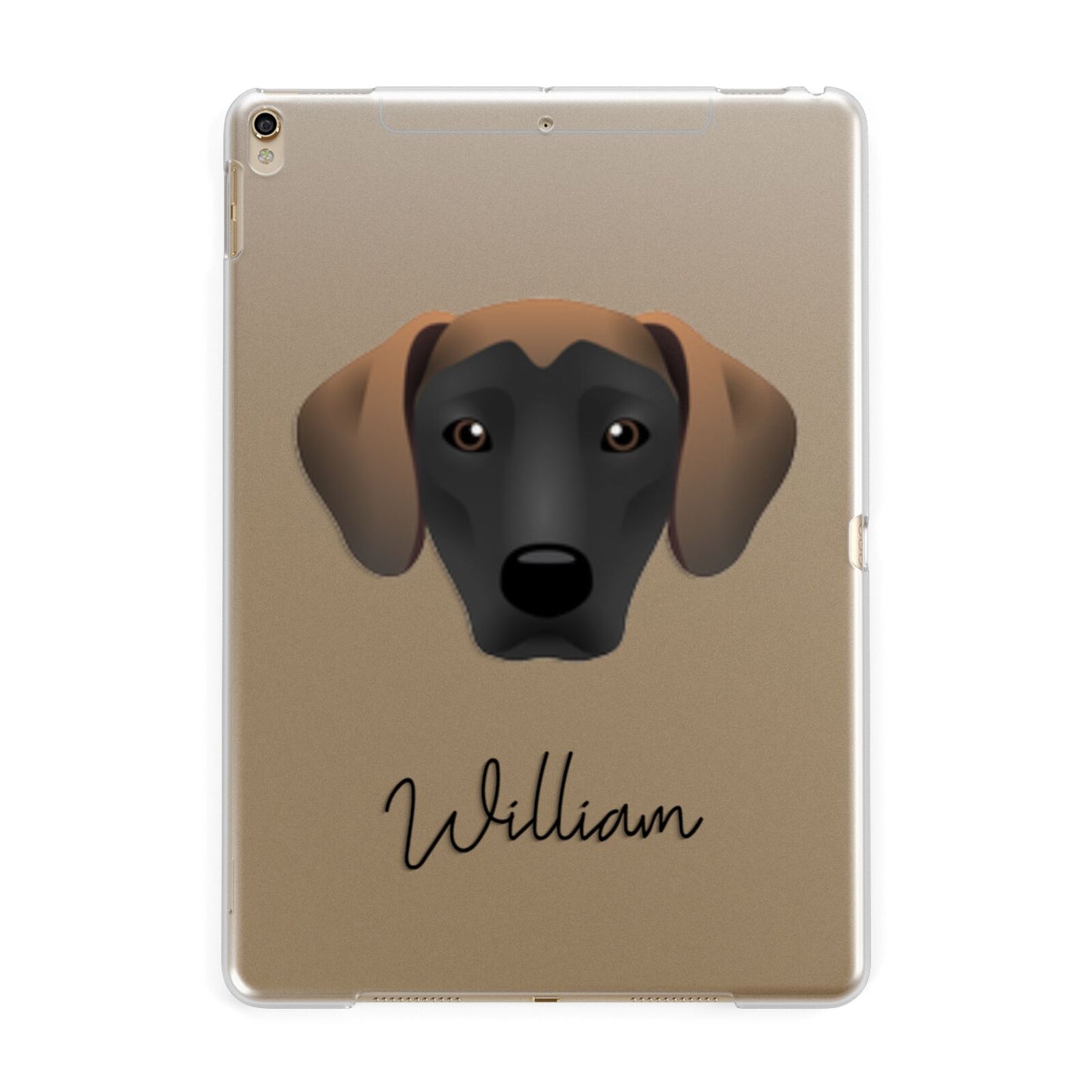 Jack A Bee Personalised Apple iPad Gold Case