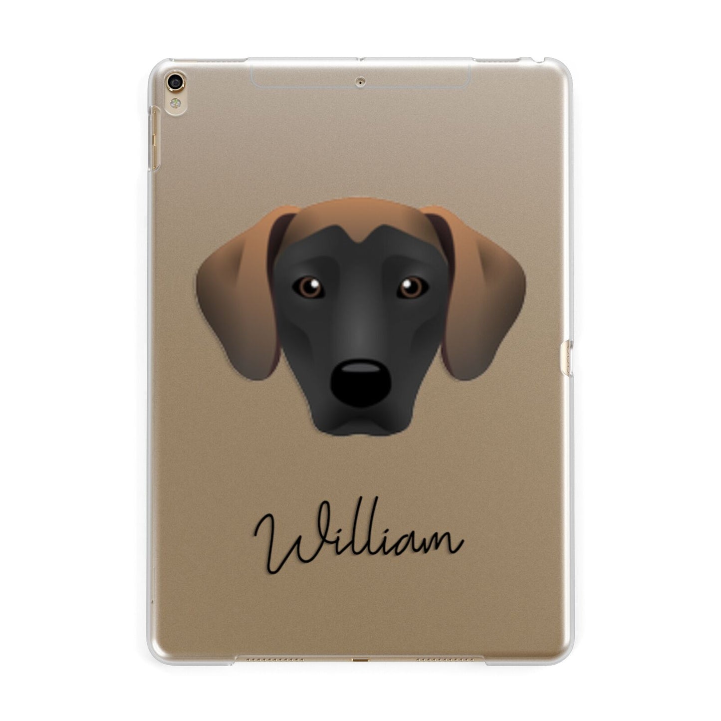 Jack A Bee Personalised Apple iPad Gold Case