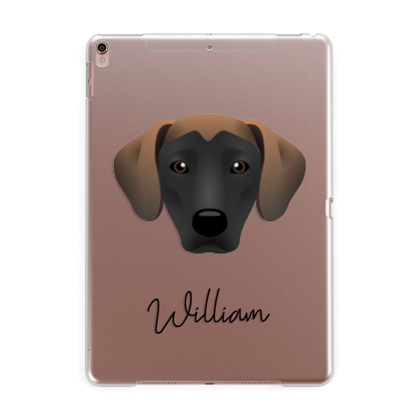 Jack A Bee Personalised Apple iPad Rose Gold Case