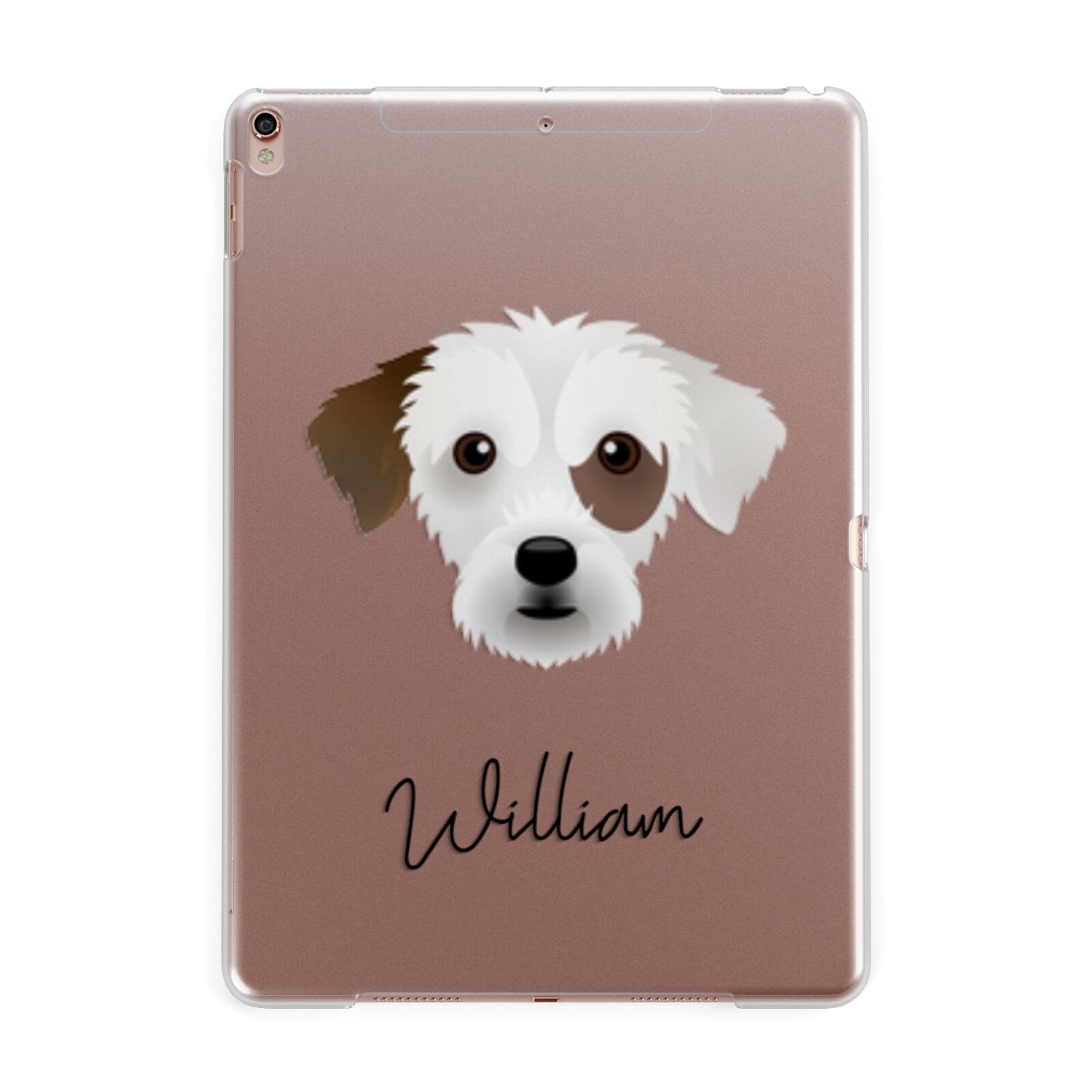 Jack A Poo Personalised Apple iPad Rose Gold Case