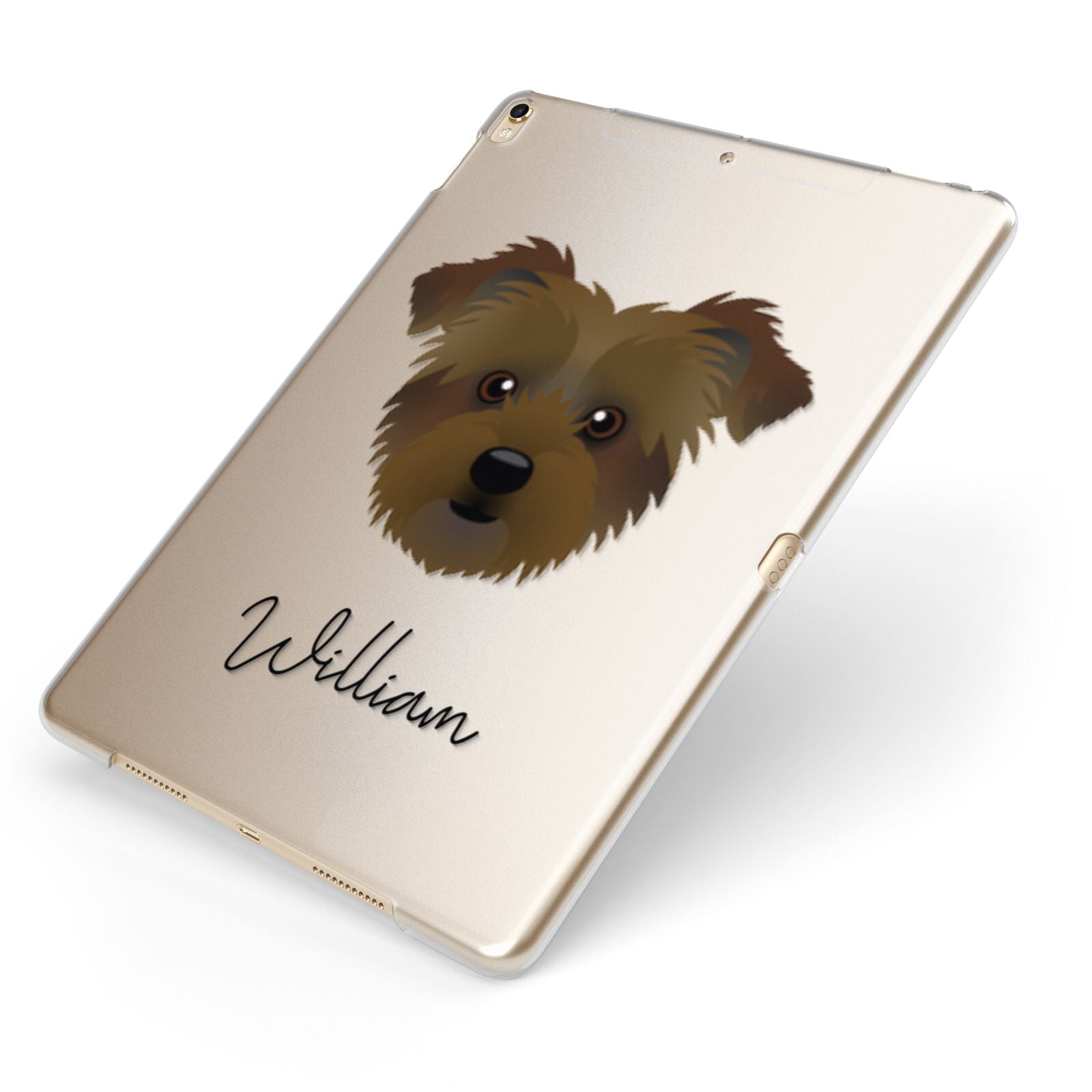 Jacktzu Personalised Apple iPad Case on Gold iPad Side View