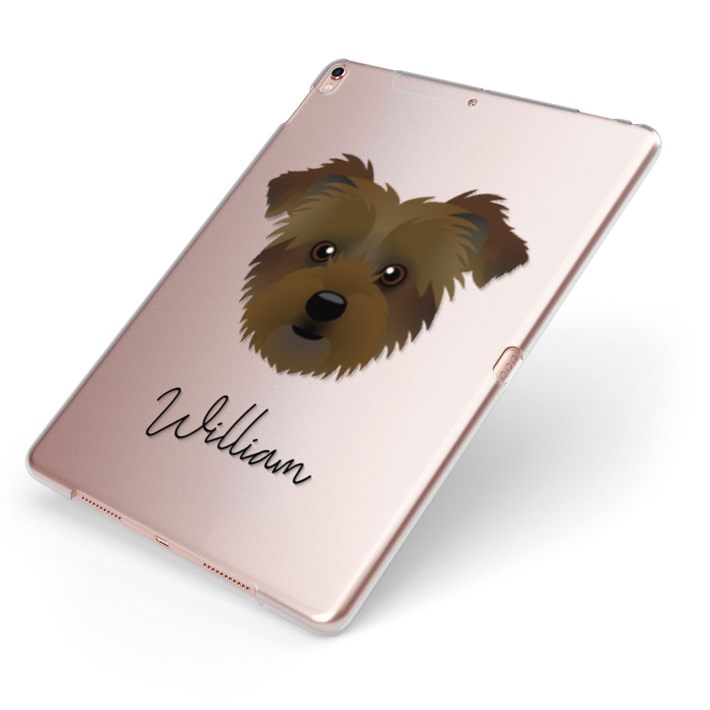 Jacktzu Personalised Apple iPad Case on Rose Gold iPad Side View