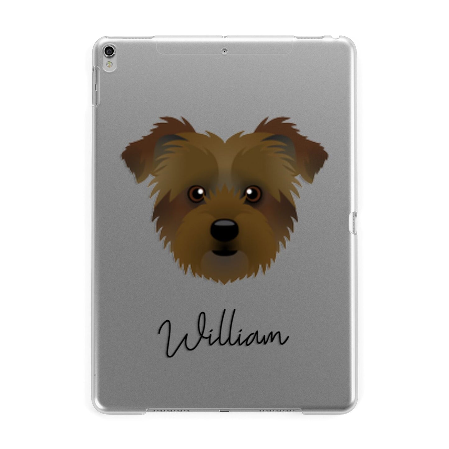 Jacktzu Personalised Apple iPad Silver Case