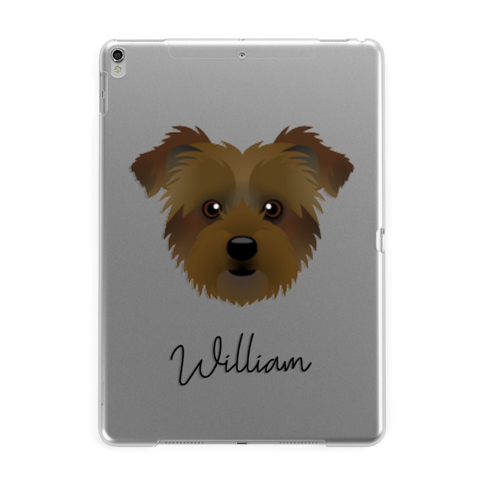 Jacktzu Personalised Apple iPad Silver Case