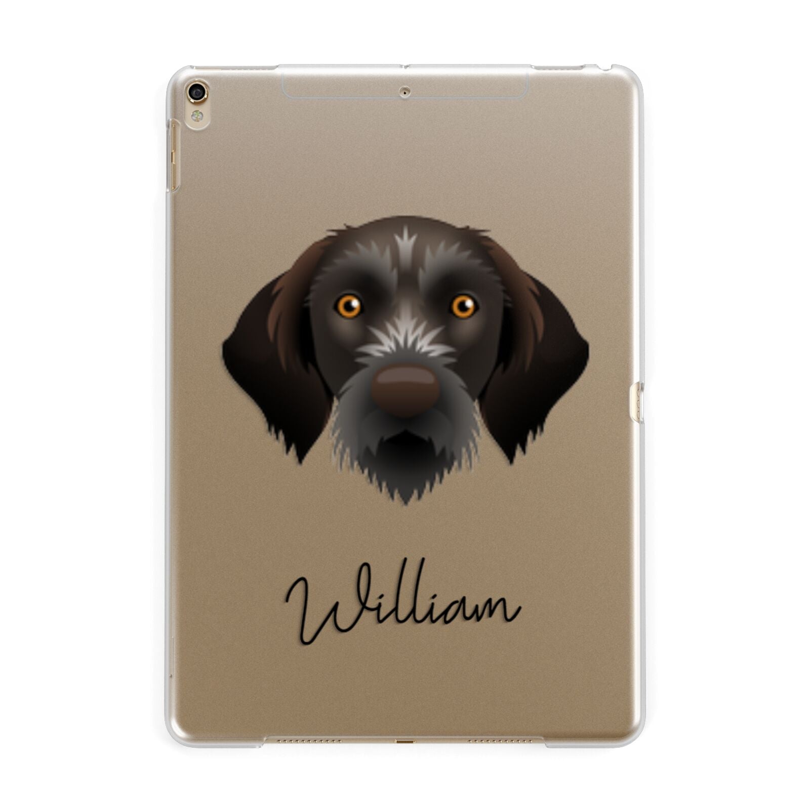 Korthals Griffon Personalised Apple iPad Gold Case
