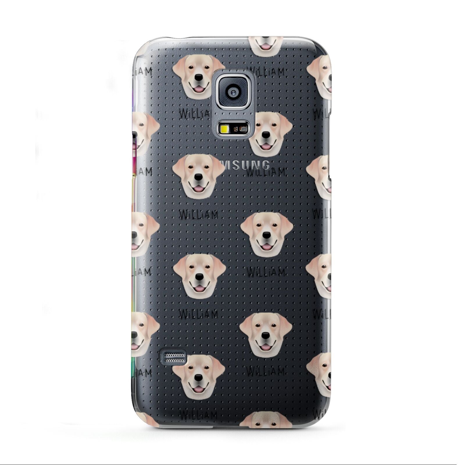 Labrador Retriever Icon with Name Samsung Galaxy S5 Mini Case