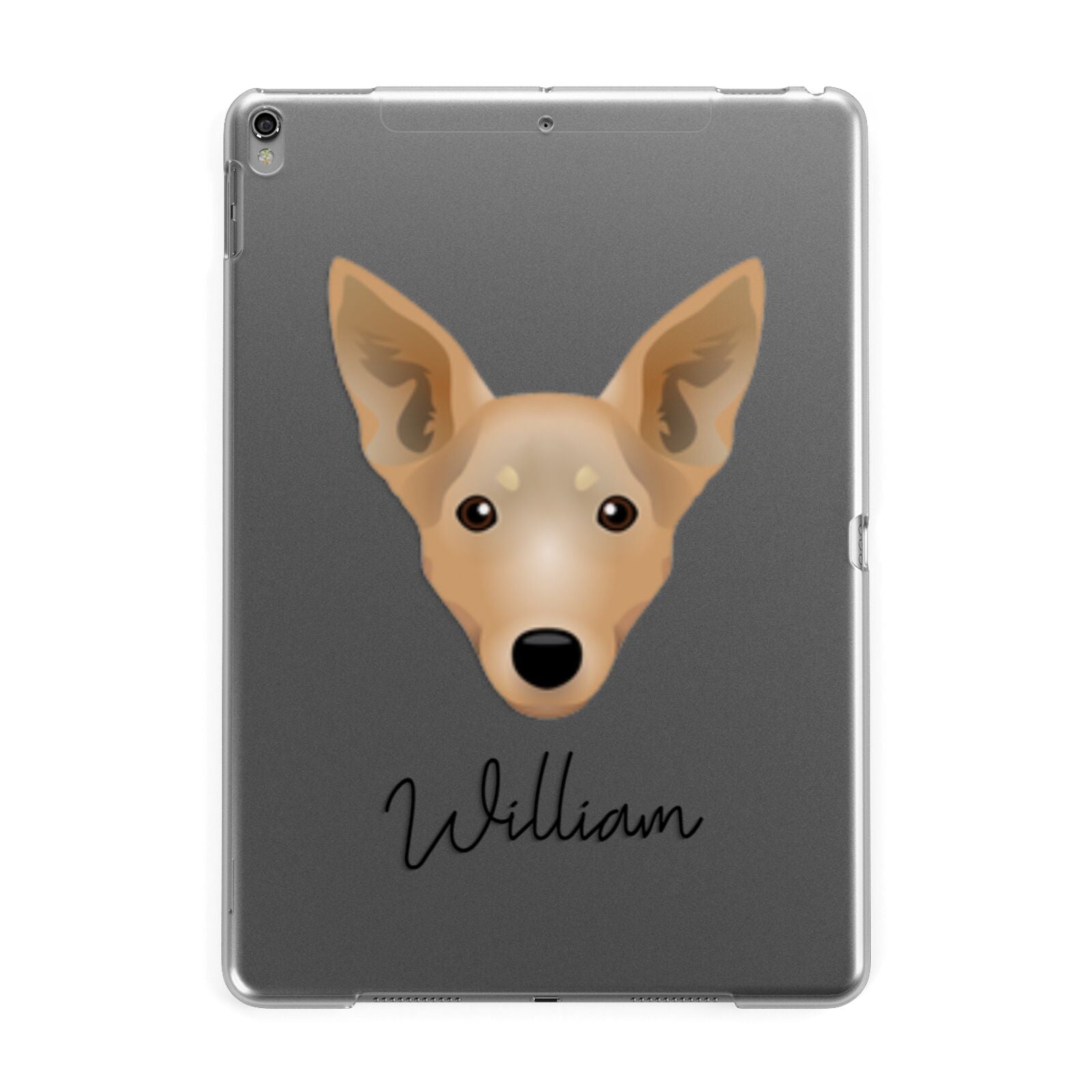 Lancashire Heeler Personalised Apple iPad Grey Case