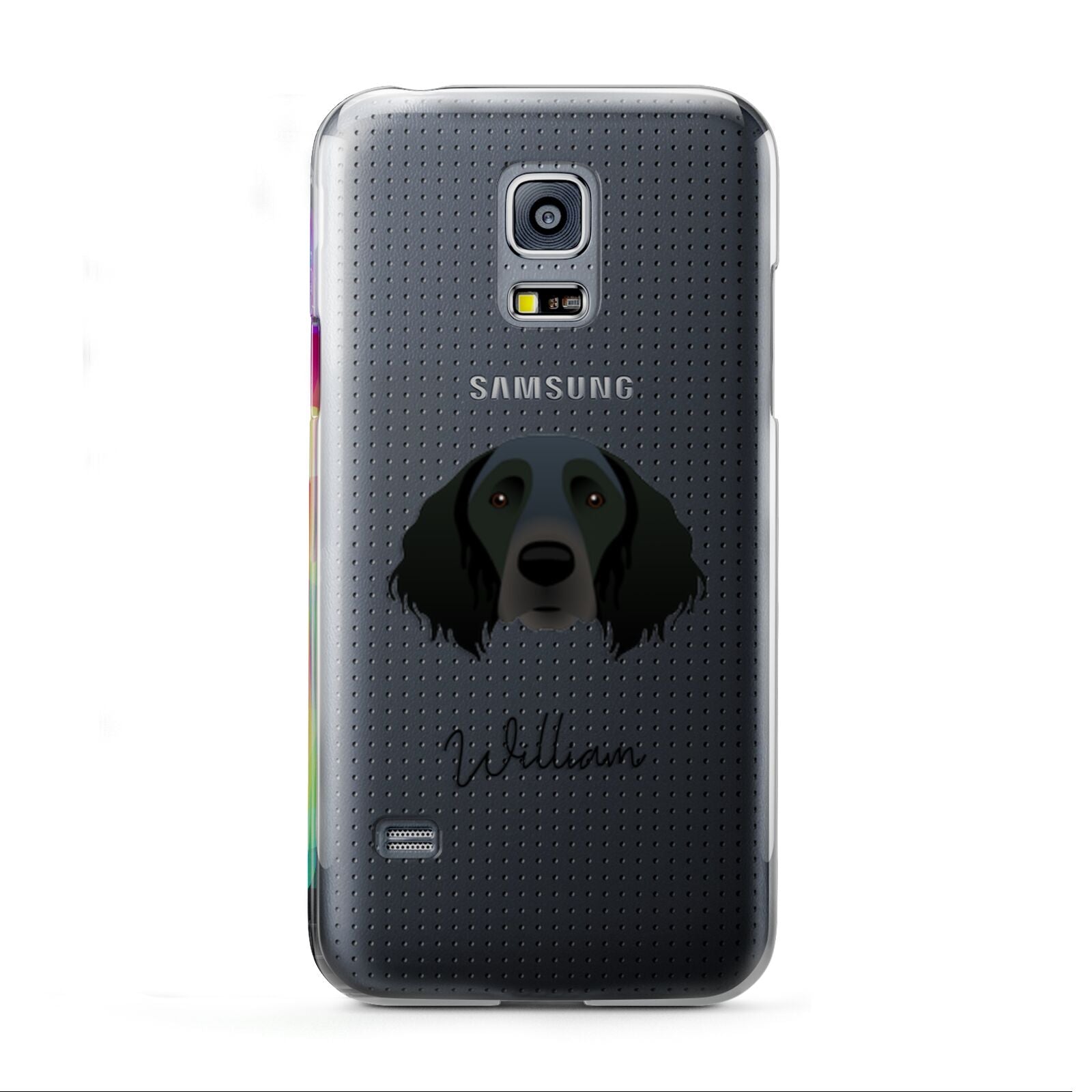 Large Munsterlander Personalised Samsung Galaxy S5 Mini Case
