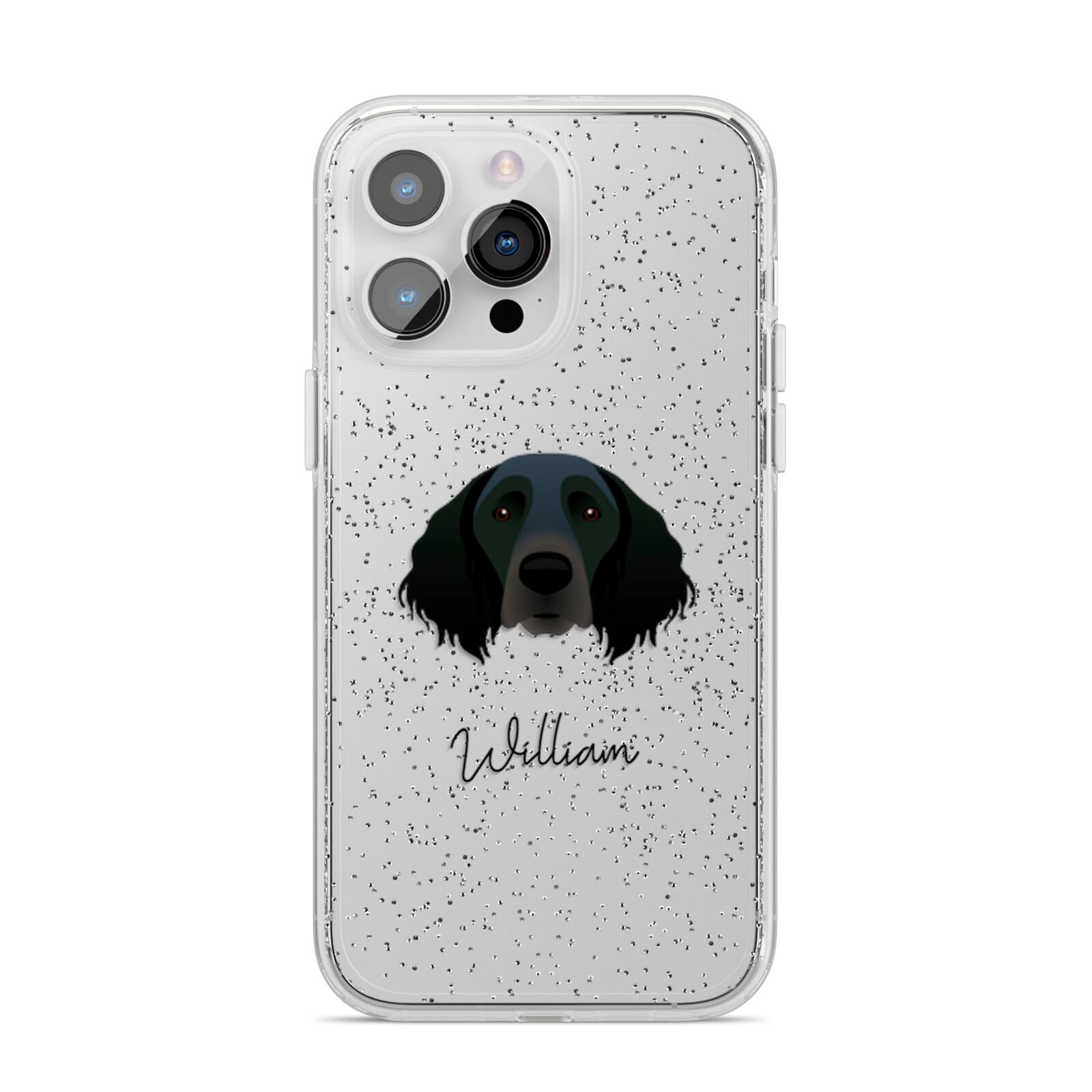 Large Munsterlander Personalised iPhone 14 Pro Max Glitter Tough Case Silver