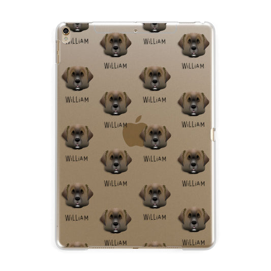 Leonberger Icon with Name Apple iPad Gold Case