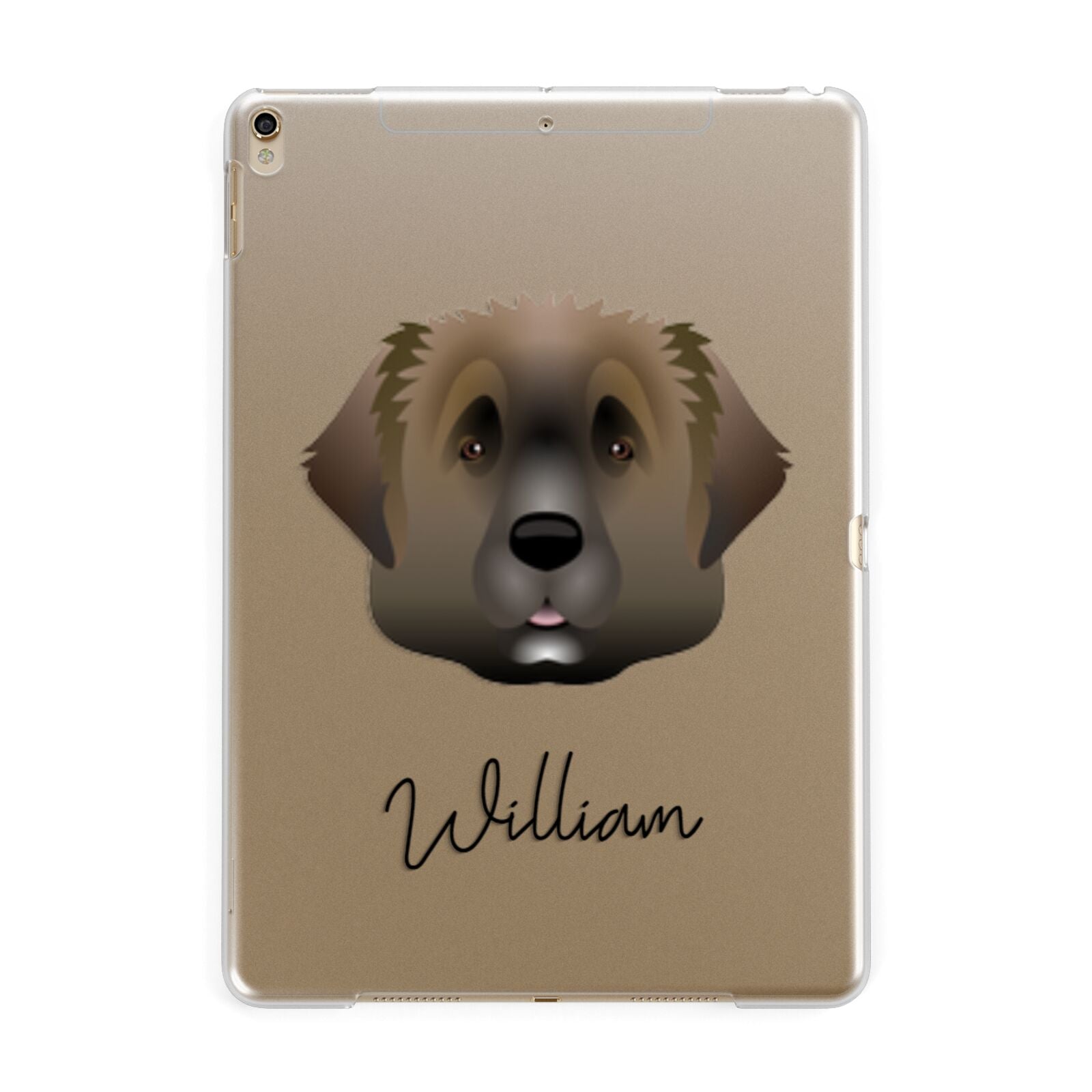 Leonberger Personalised Apple iPad Gold Case