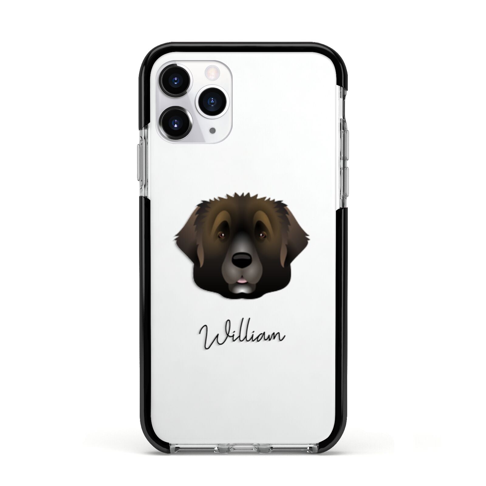 Leonberger Personalised Apple iPhone 11 Pro in Silver with Black Impact Case