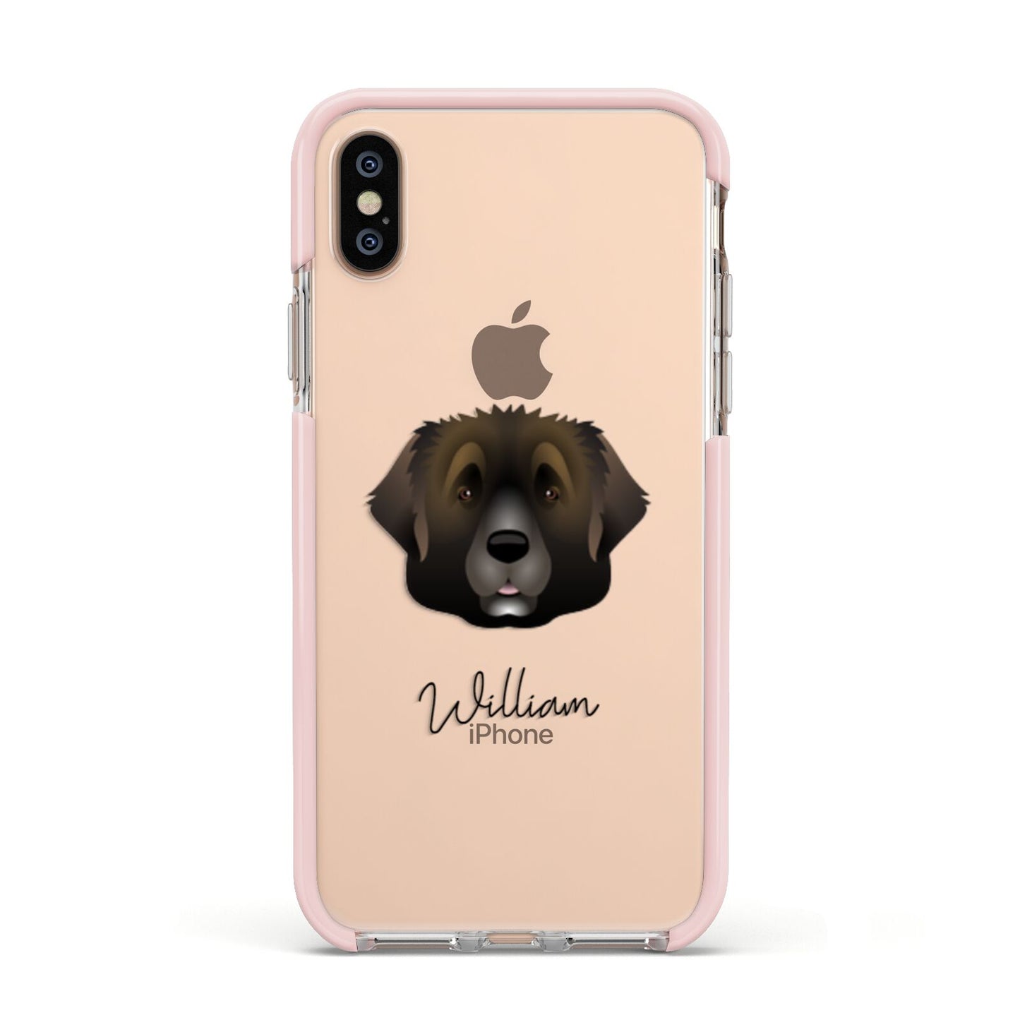Leonberger Personalised Apple iPhone Xs Impact Case Pink Edge on Gold Phone