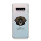 Leonberger Personalised Samsung Galaxy S10 Plus Case