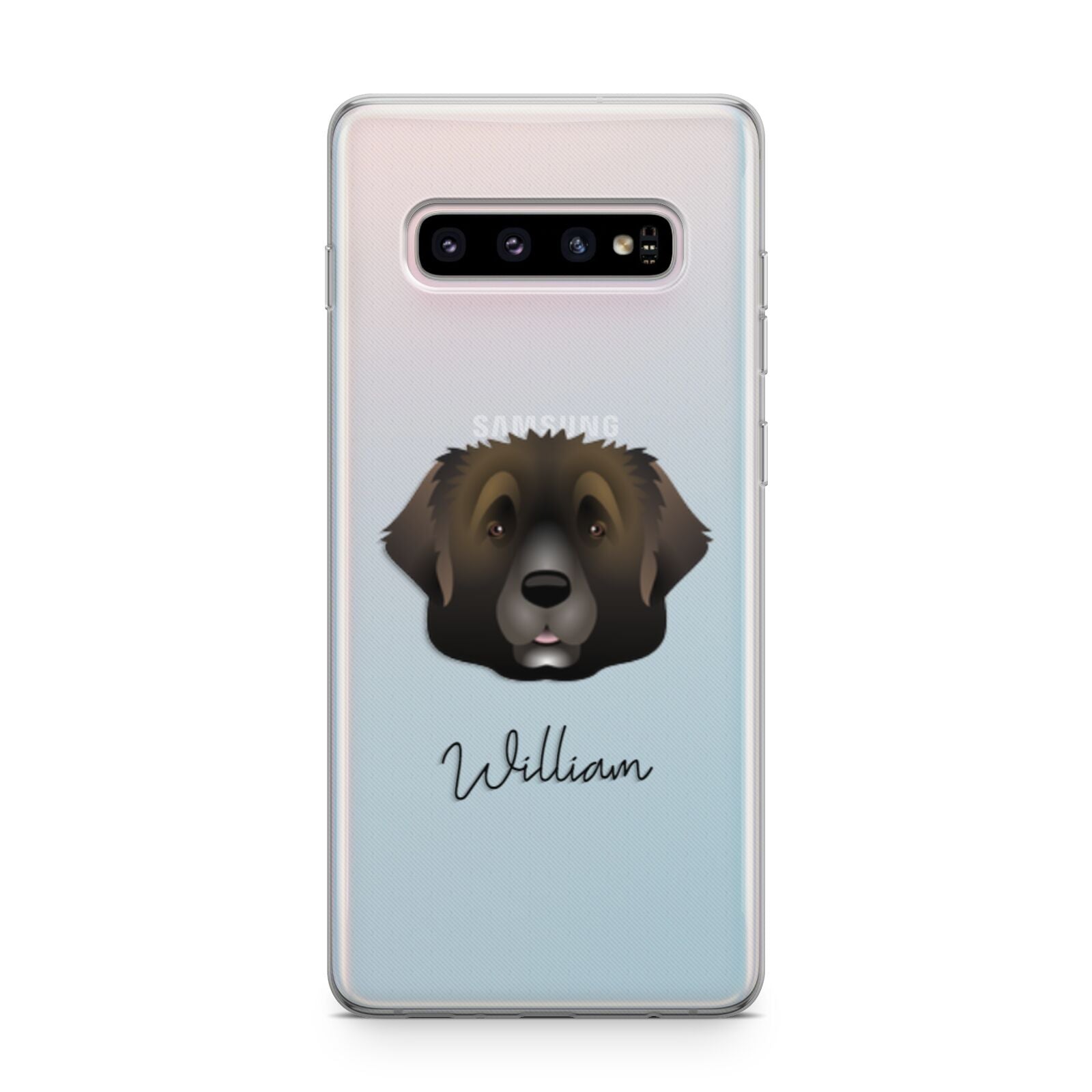 Leonberger Personalised Samsung Galaxy S10 Plus Case