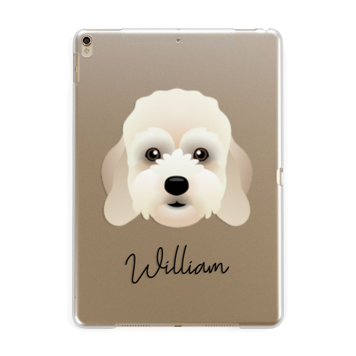 Lhasapoo Personalised Apple iPad Gold Case