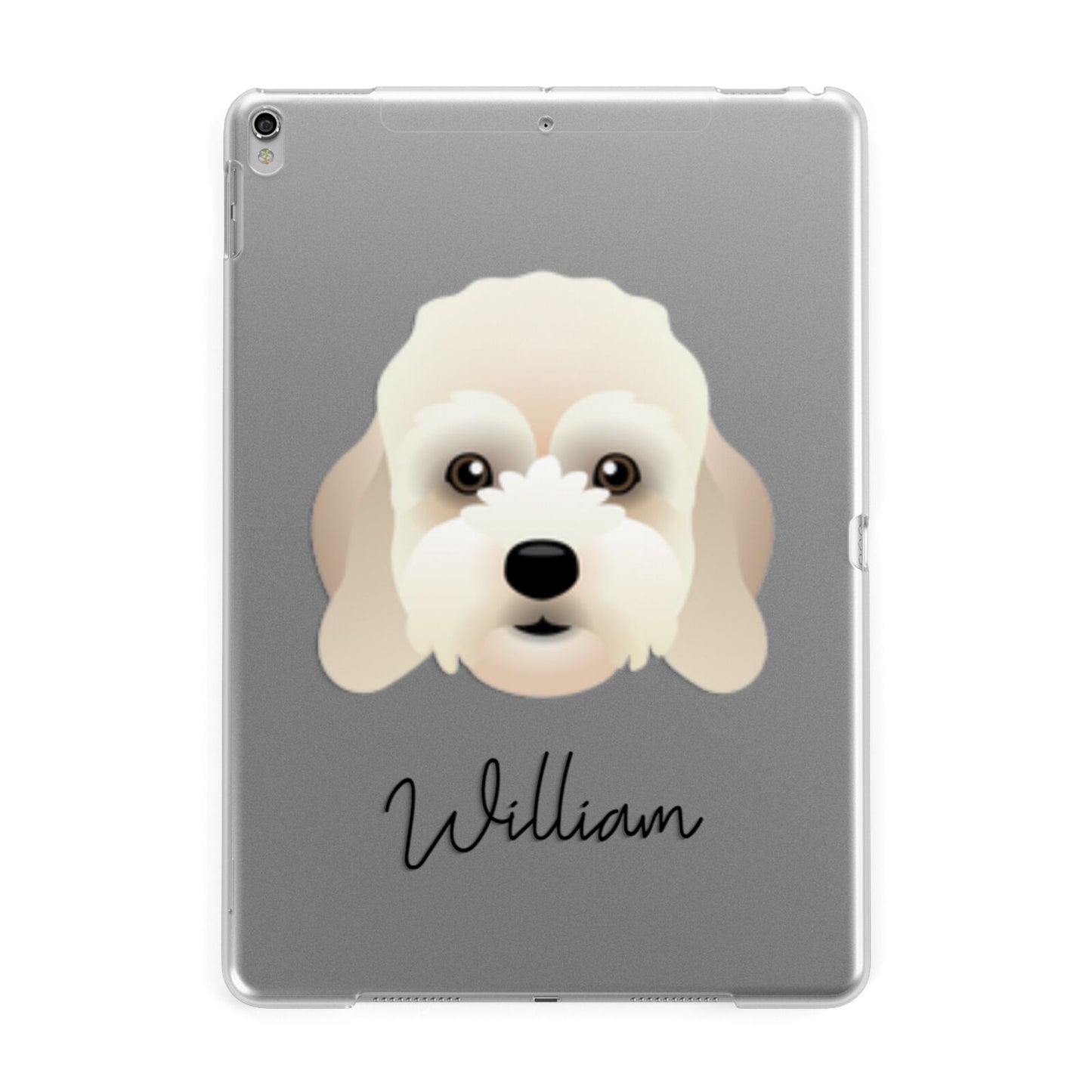 Lhasapoo Personalised Apple iPad Silver Case