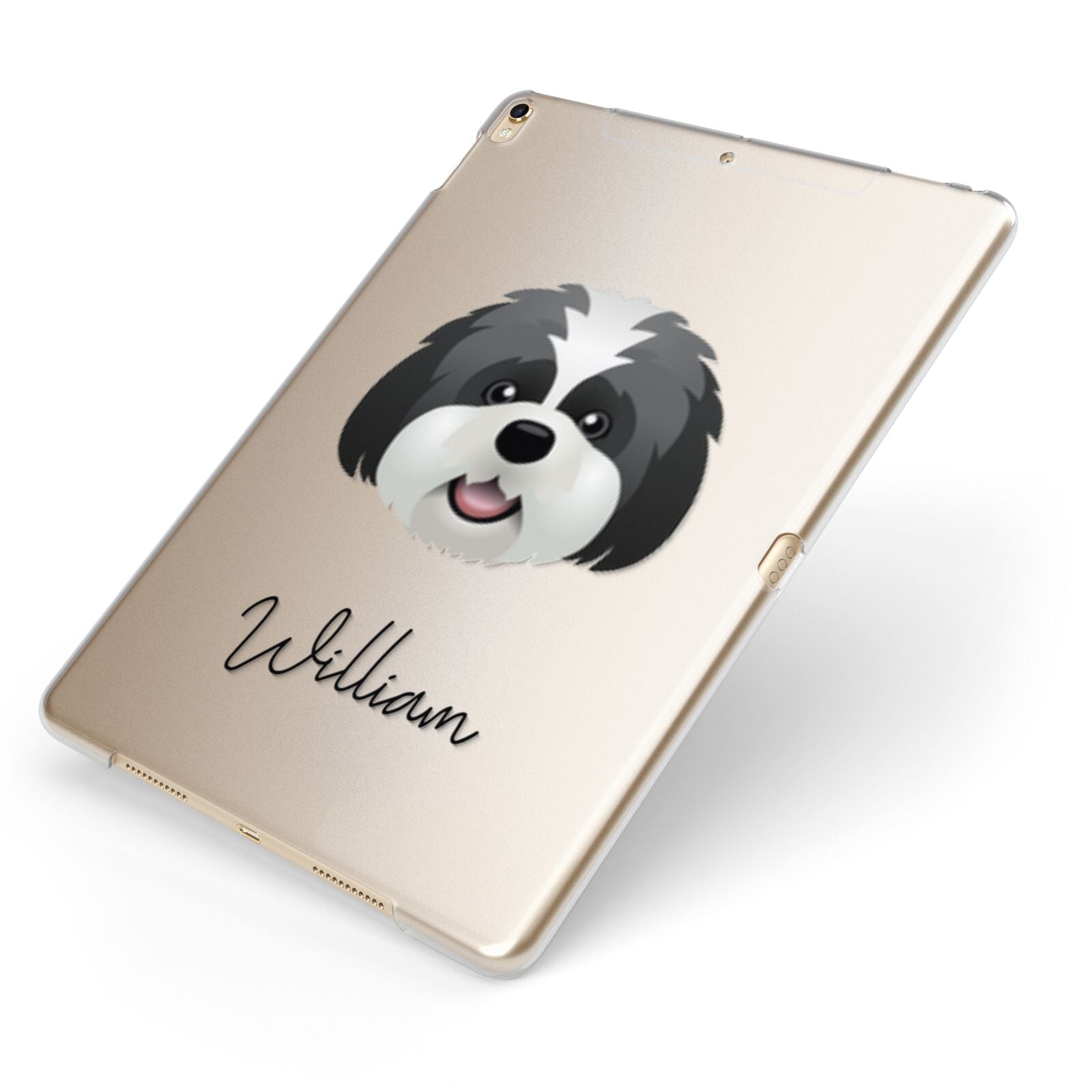 Lhatese Personalised Apple iPad Case on Gold iPad Side View