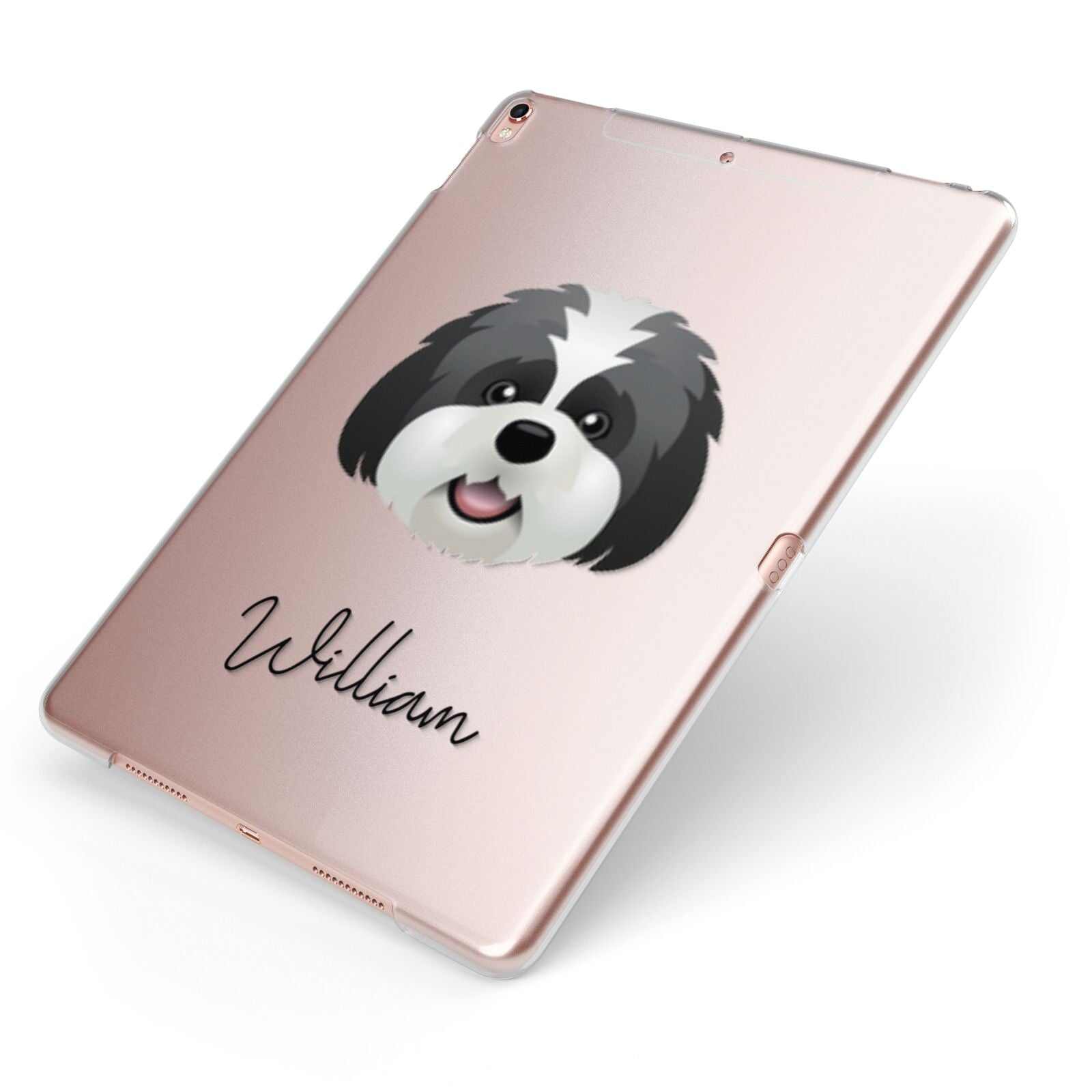 Lhatese Personalised Apple iPad Case on Rose Gold iPad Side View