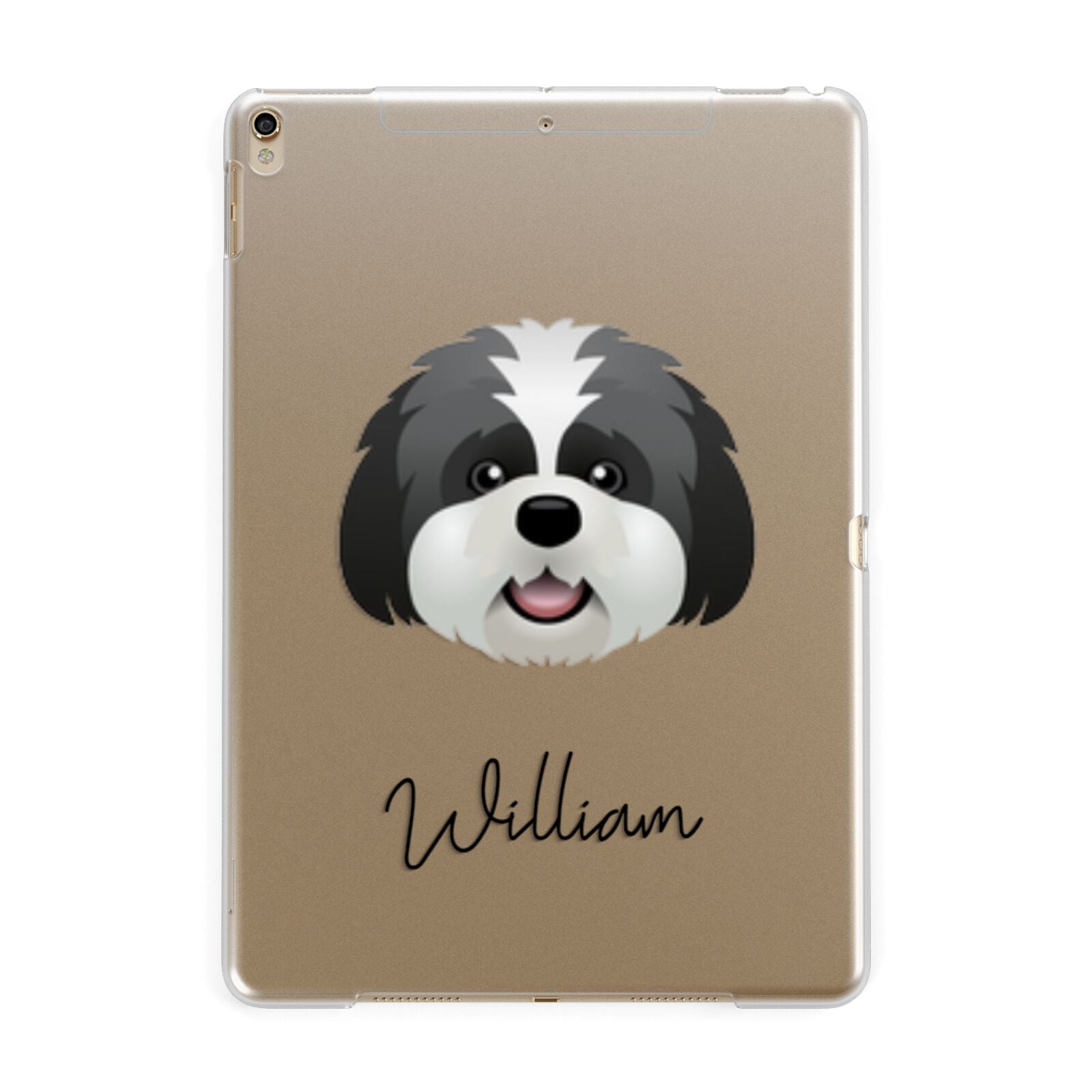 Lhatese Personalised Apple iPad Gold Case