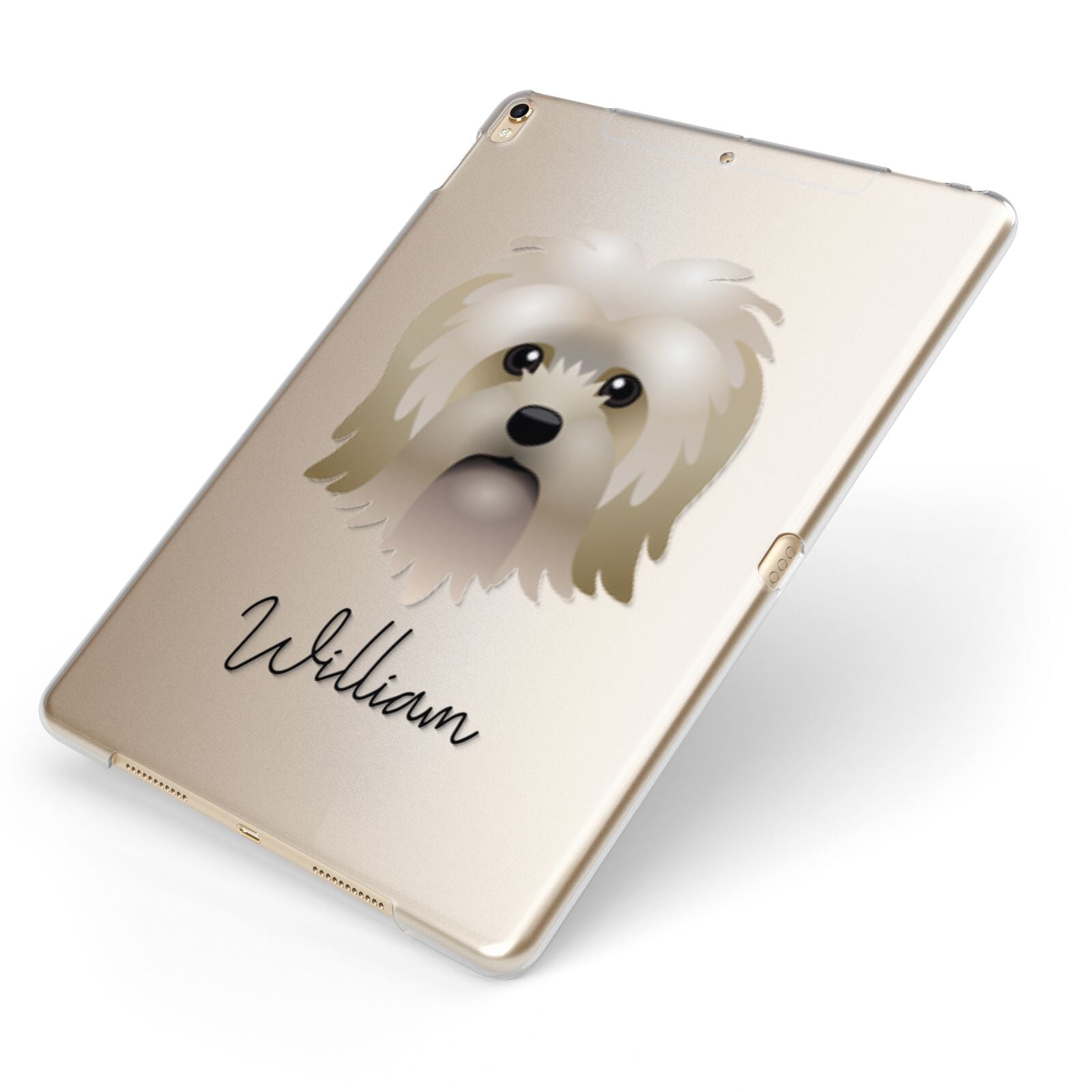 Lo wchen Personalised Apple iPad Case on Gold iPad Side View
