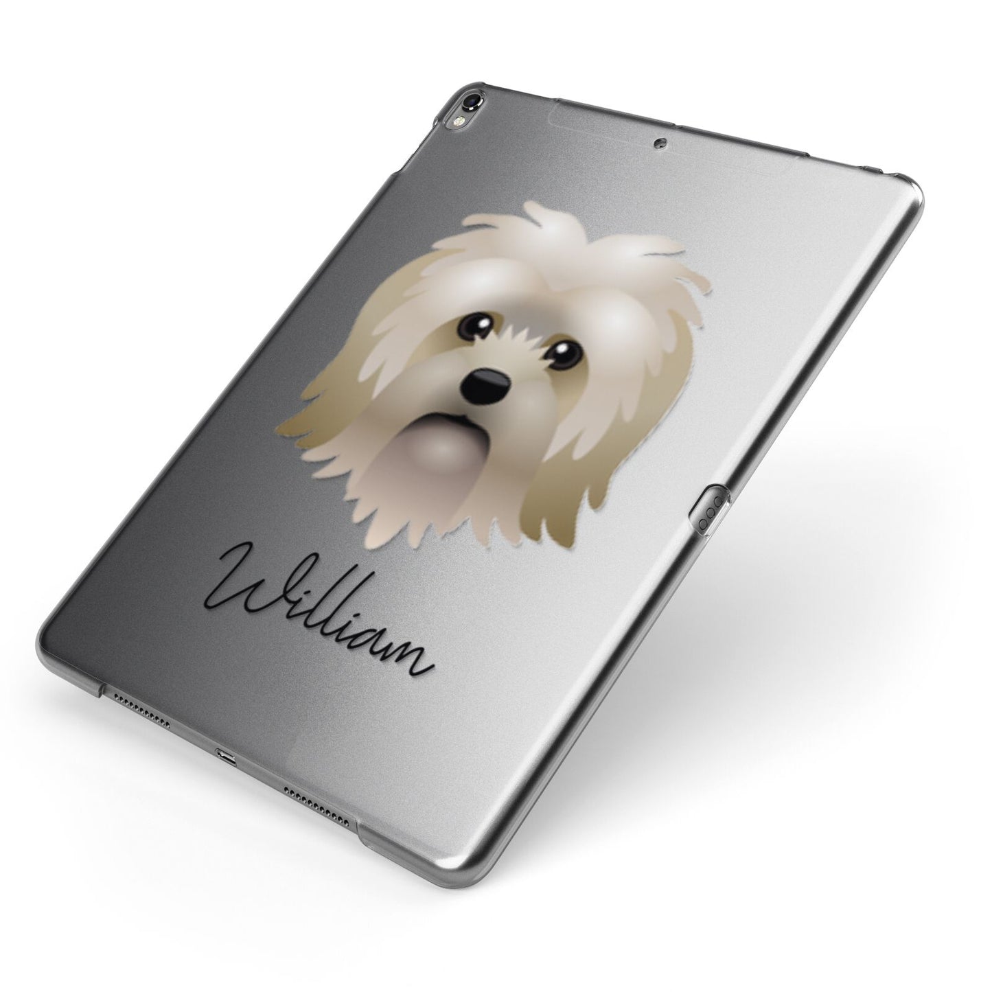 Lo wchen Personalised Apple iPad Case on Grey iPad Side View