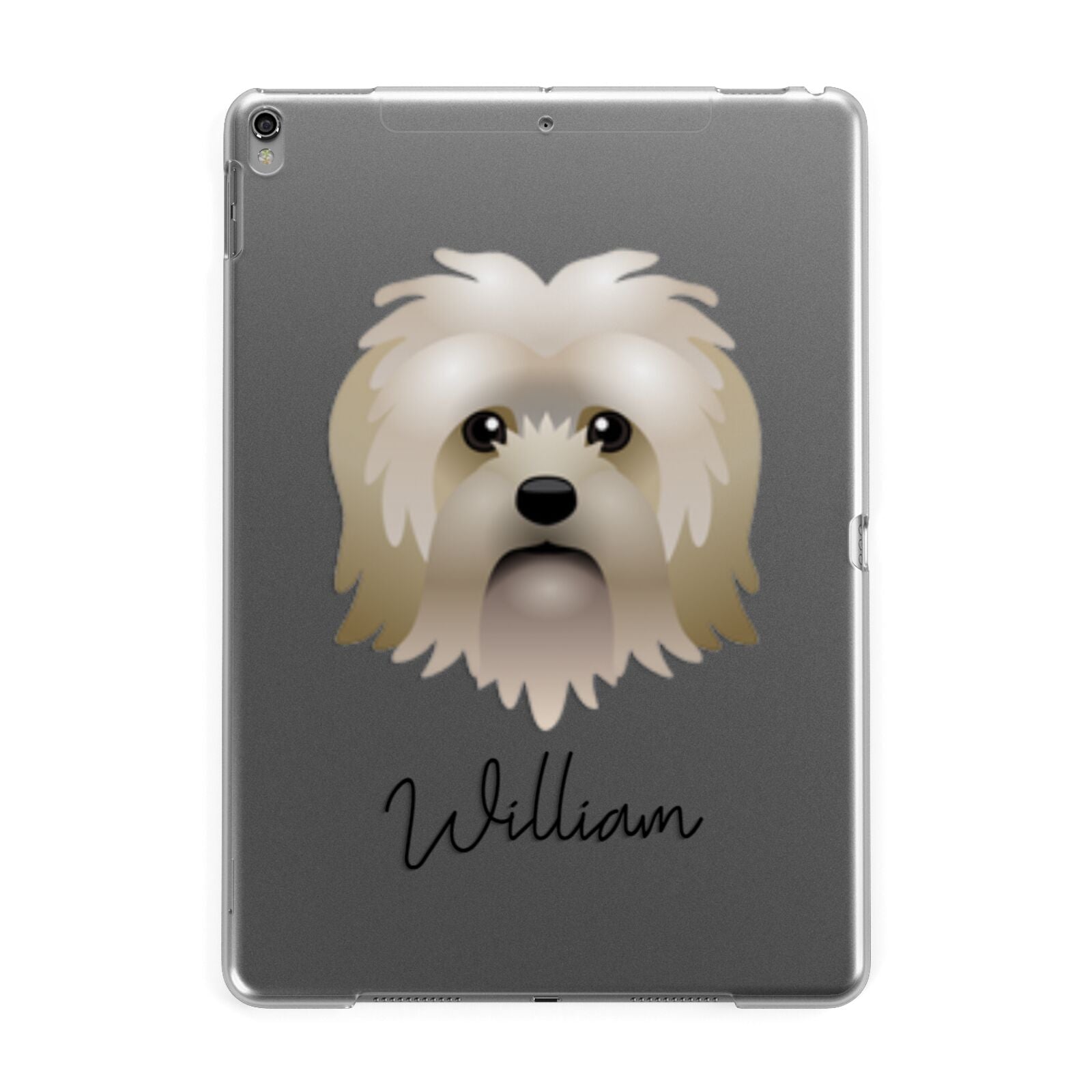 Lo wchen Personalised Apple iPad Grey Case