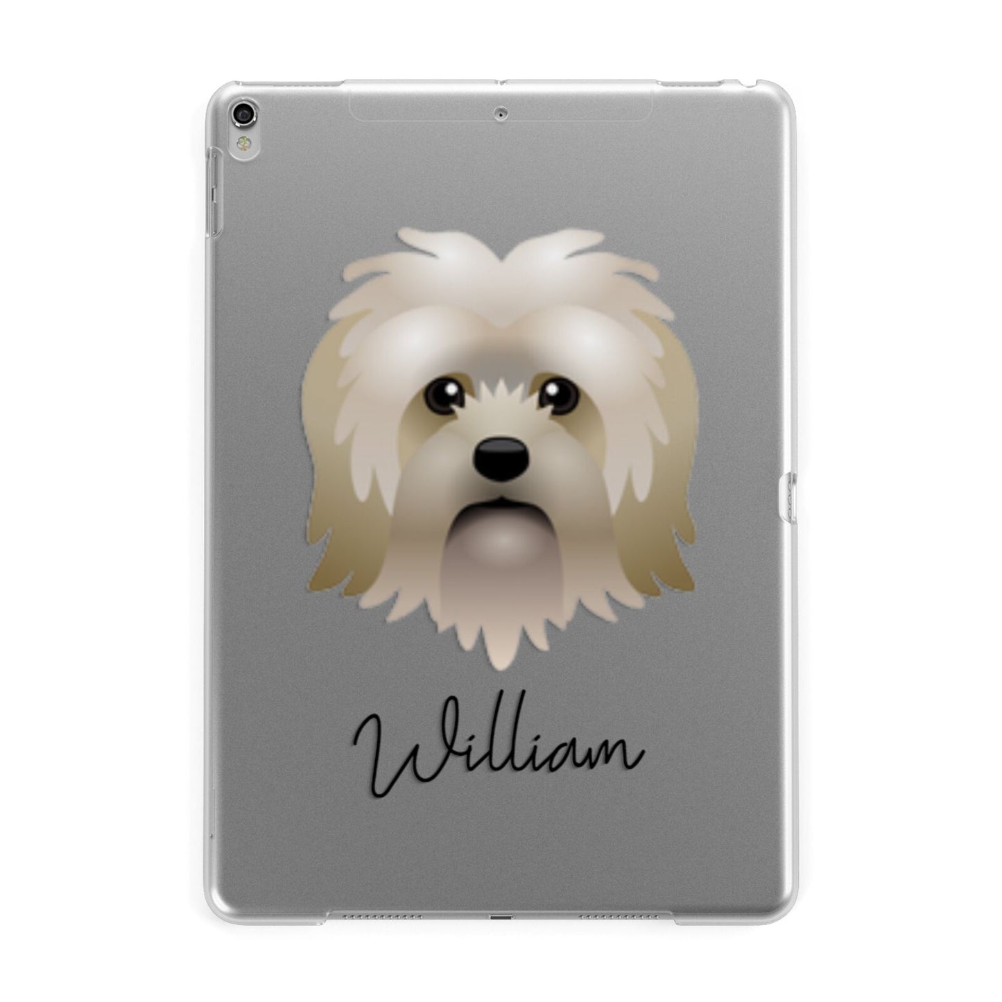 Lo wchen Personalised Apple iPad Silver Case