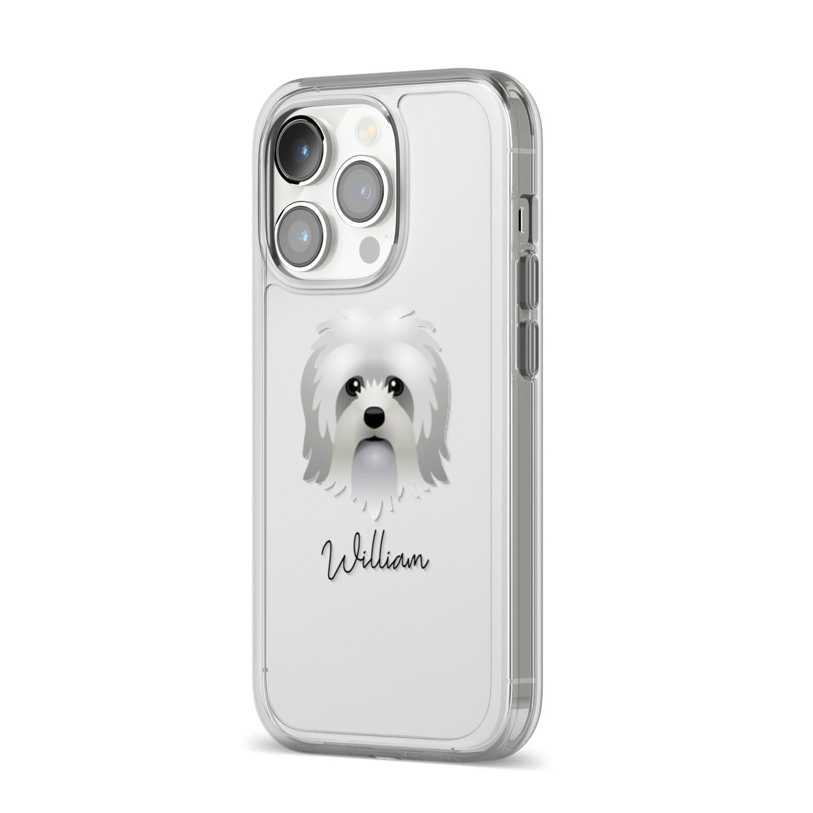 Lo wchen Personalised iPhone 14 Pro Clear Tough Case Silver Angled Image