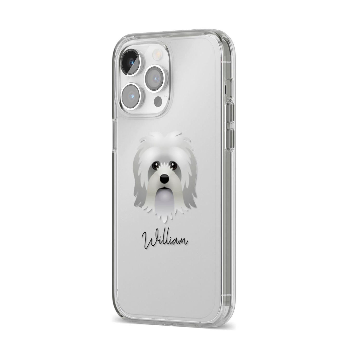 Lo wchen Personalised iPhone 14 Pro Max Clear Tough Case Silver Angled Image