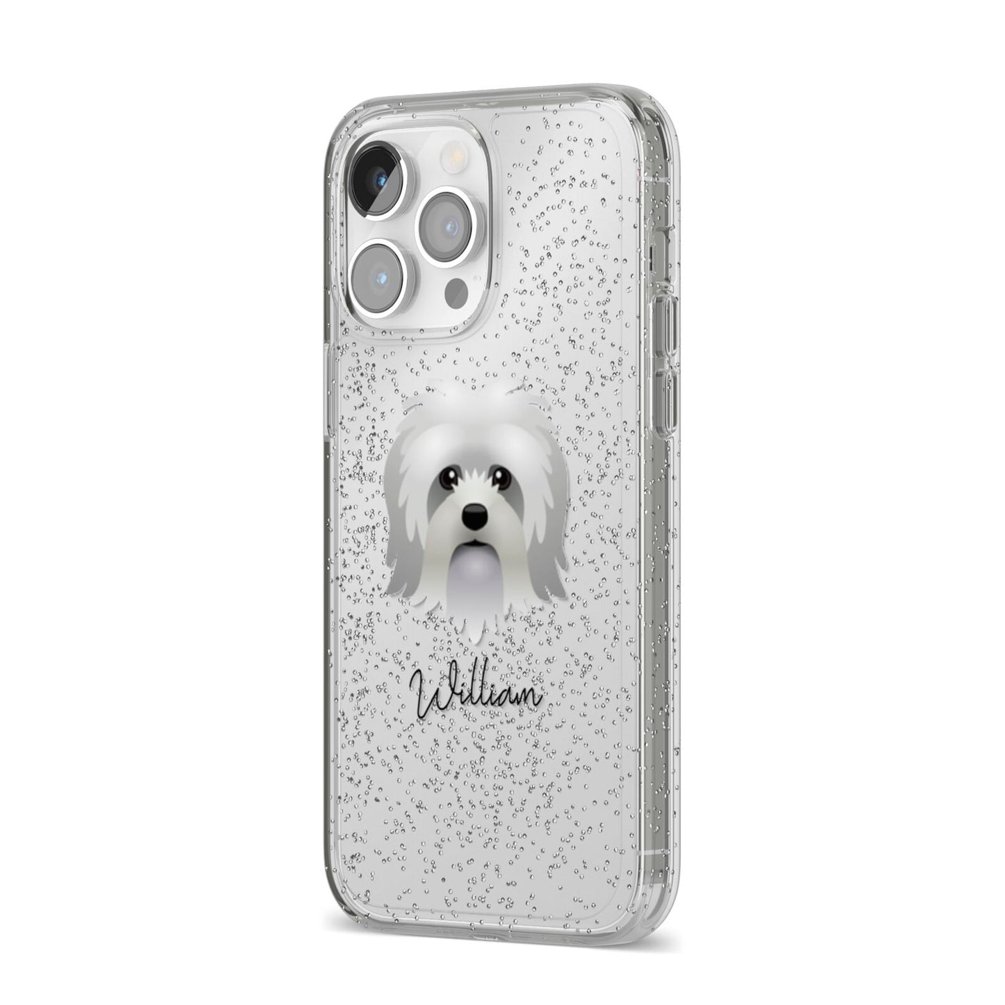 Lo wchen Personalised iPhone 14 Pro Max Glitter Tough Case Silver Angled Image
