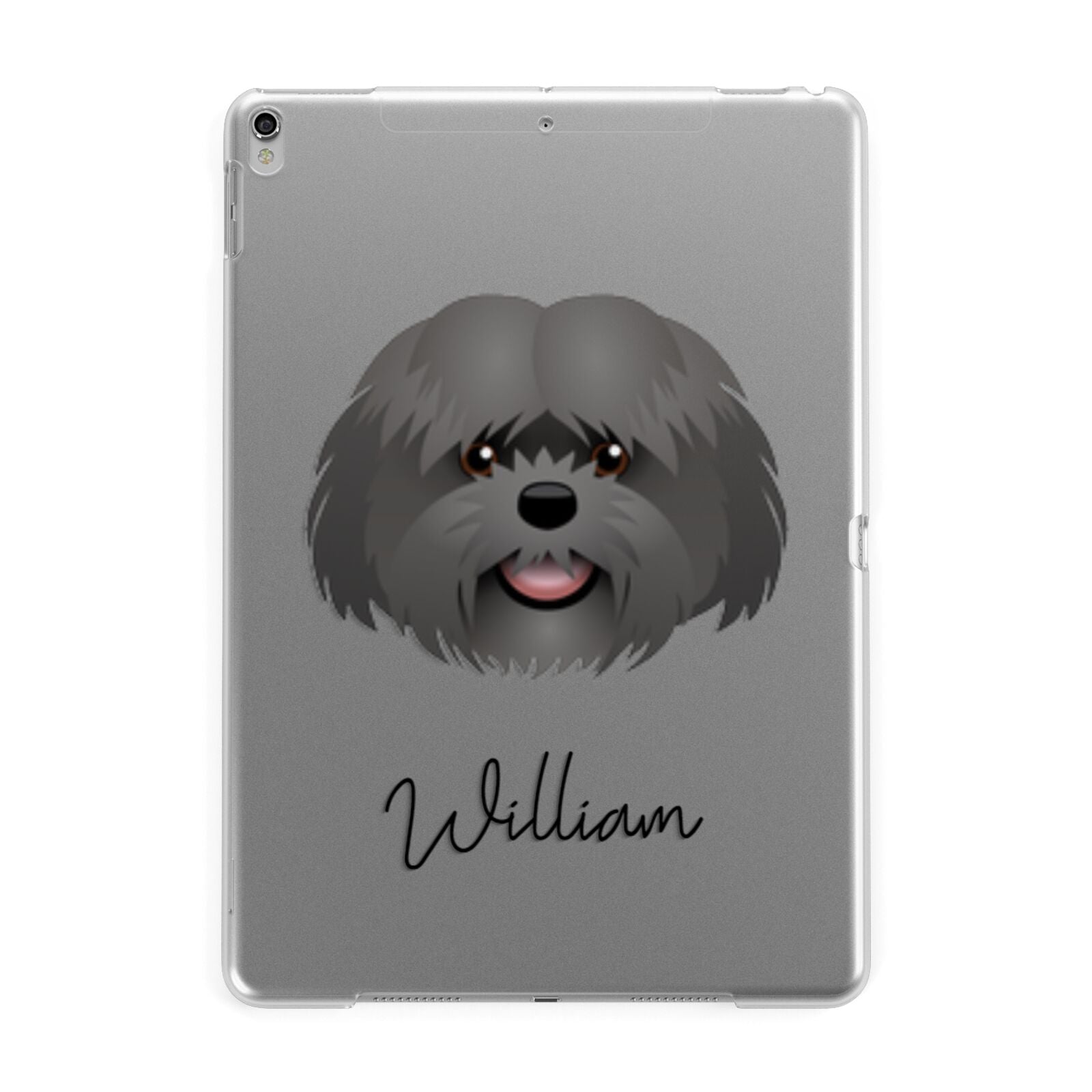 Mal Shi Personalised Apple iPad Silver Case