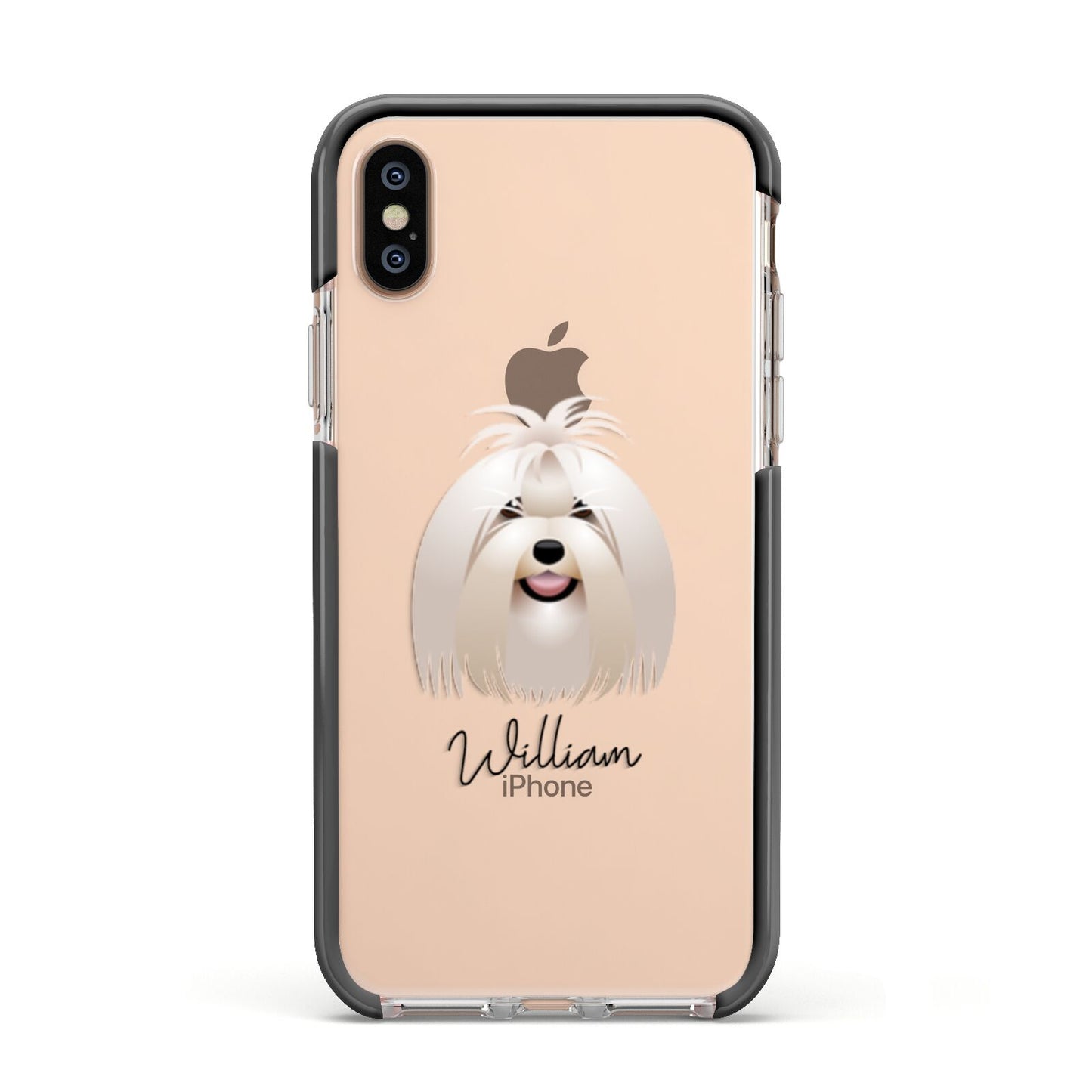 Maltese Personalised Apple iPhone Xs Impact Case Black Edge on Gold Phone