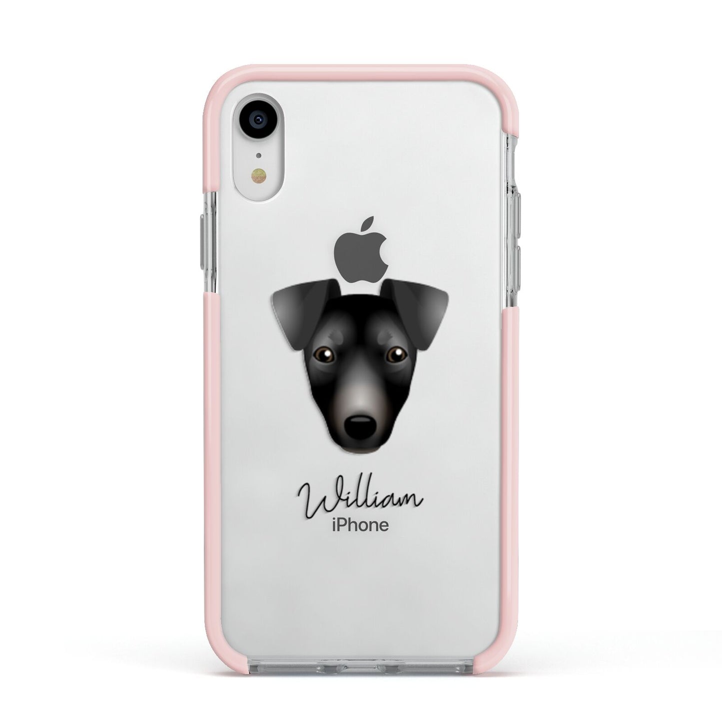 Manchester Terrier Personalised Apple iPhone XR Impact Case Pink Edge on Silver Phone