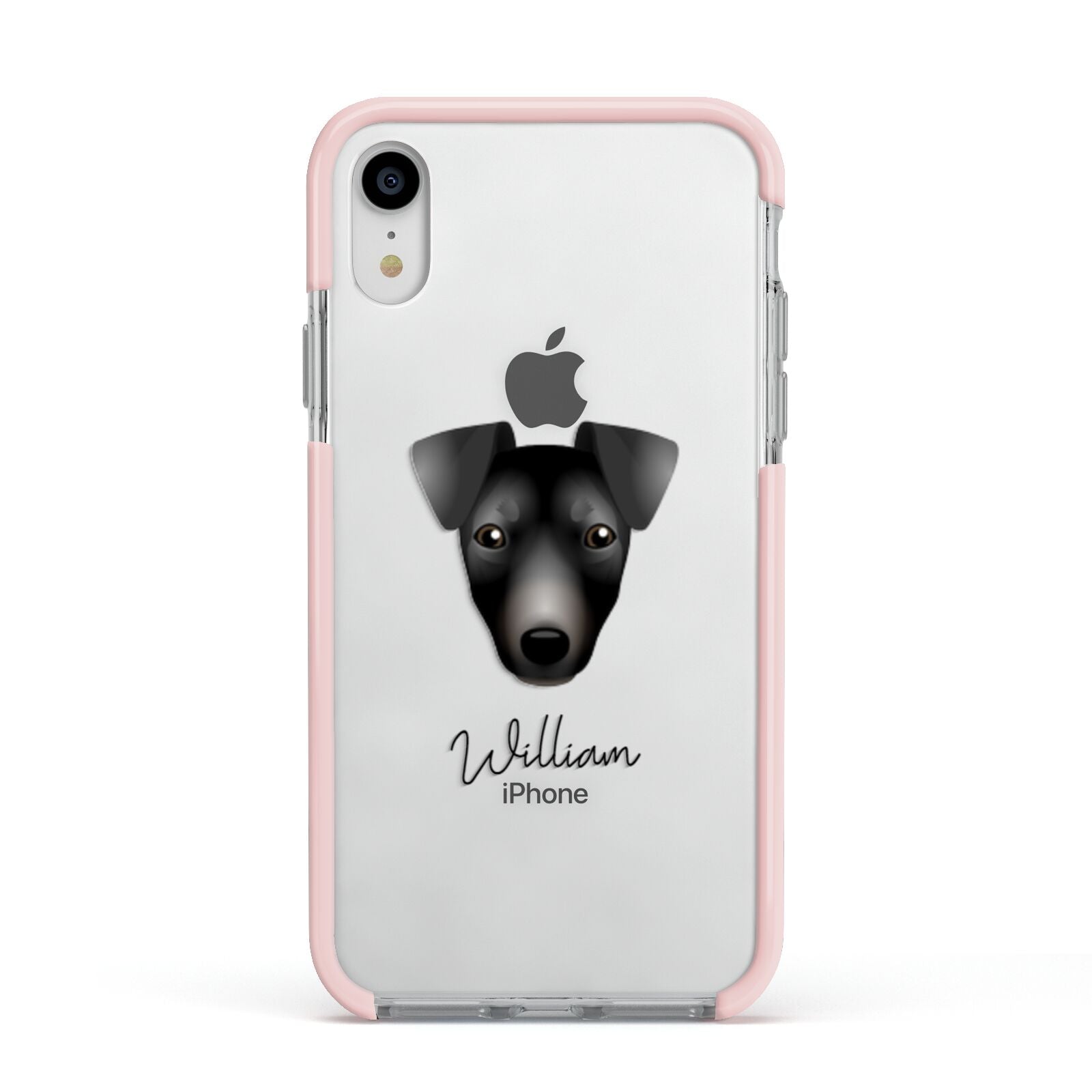 Manchester Terrier Personalised Apple iPhone XR Impact Case Pink Edge on Silver Phone