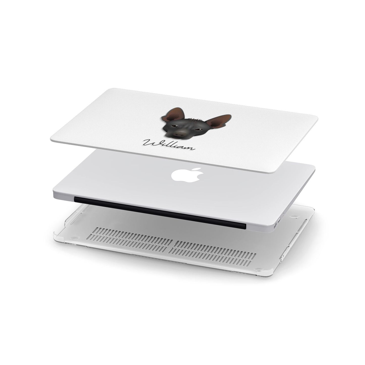 Mexican Hairless Personalised Apple MacBook Case in Detail