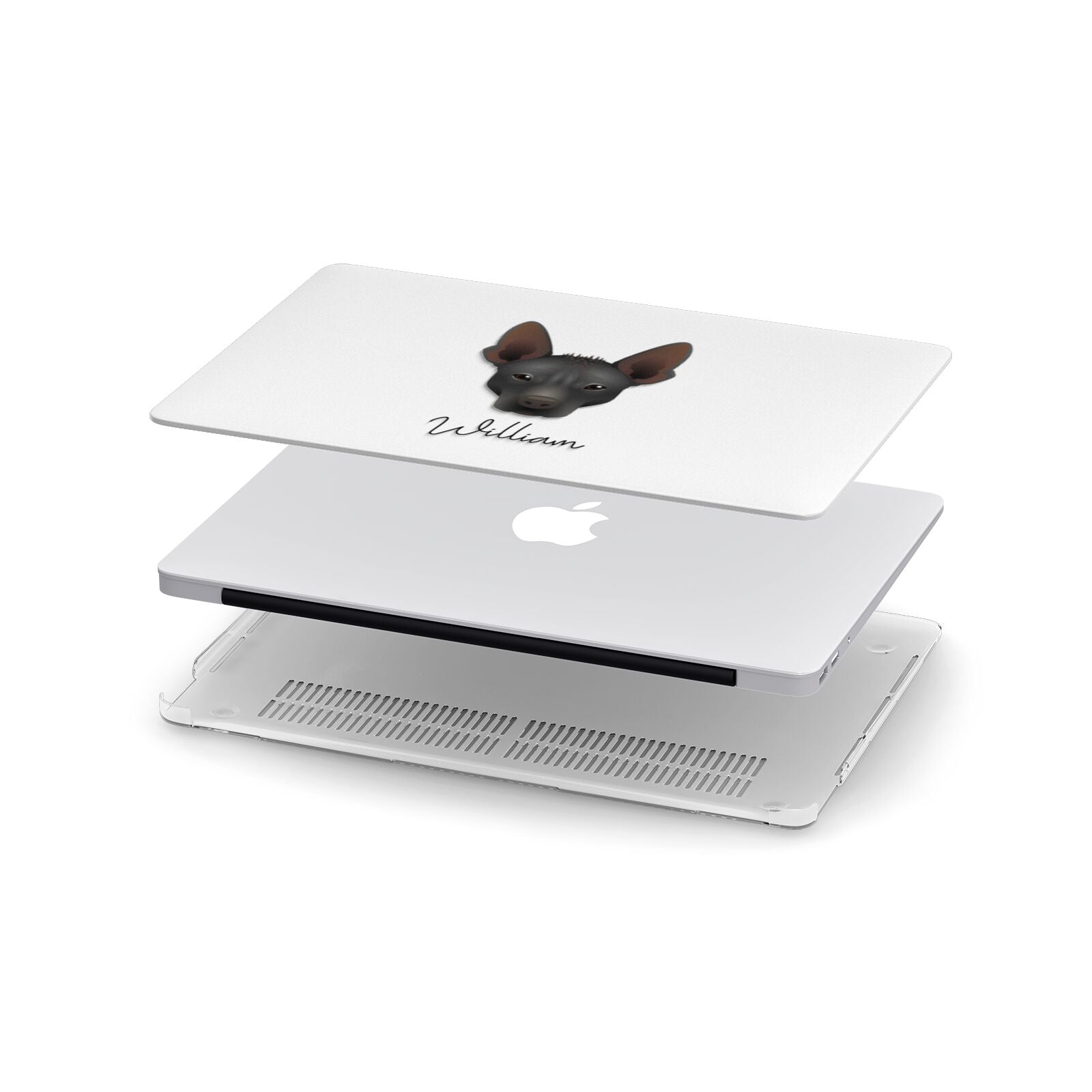 Mexican Hairless Personalised Apple MacBook Case in Detail