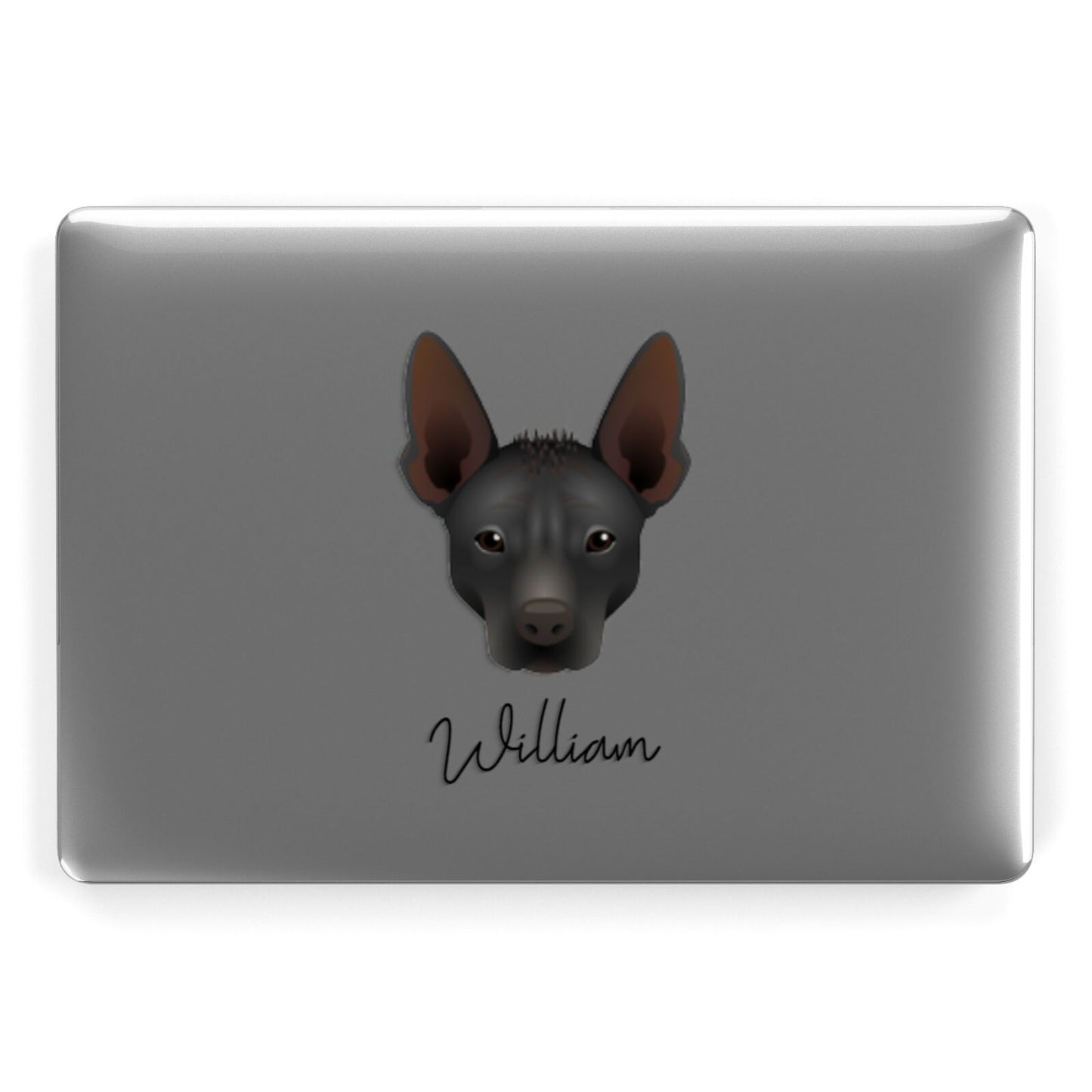 Mexican Hairless Personalised Apple MacBook Case