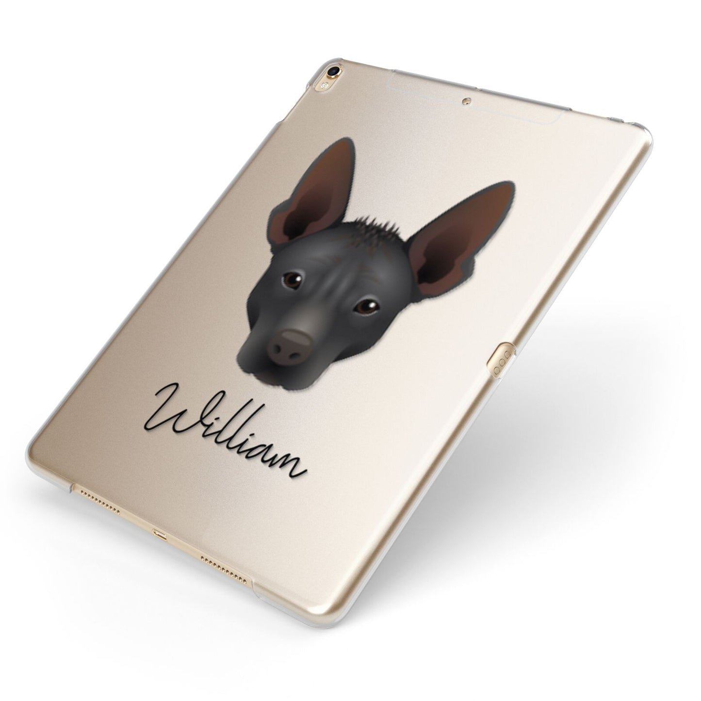Mexican Hairless Personalised Apple iPad Case on Gold iPad Side View